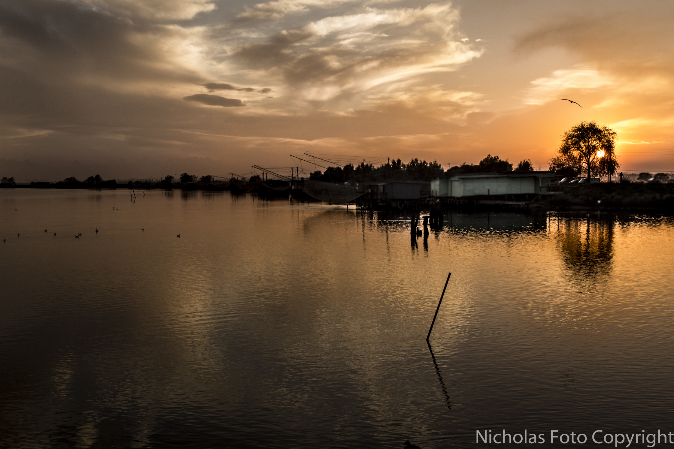 Behaind a Tree - Comacchio Tramonto