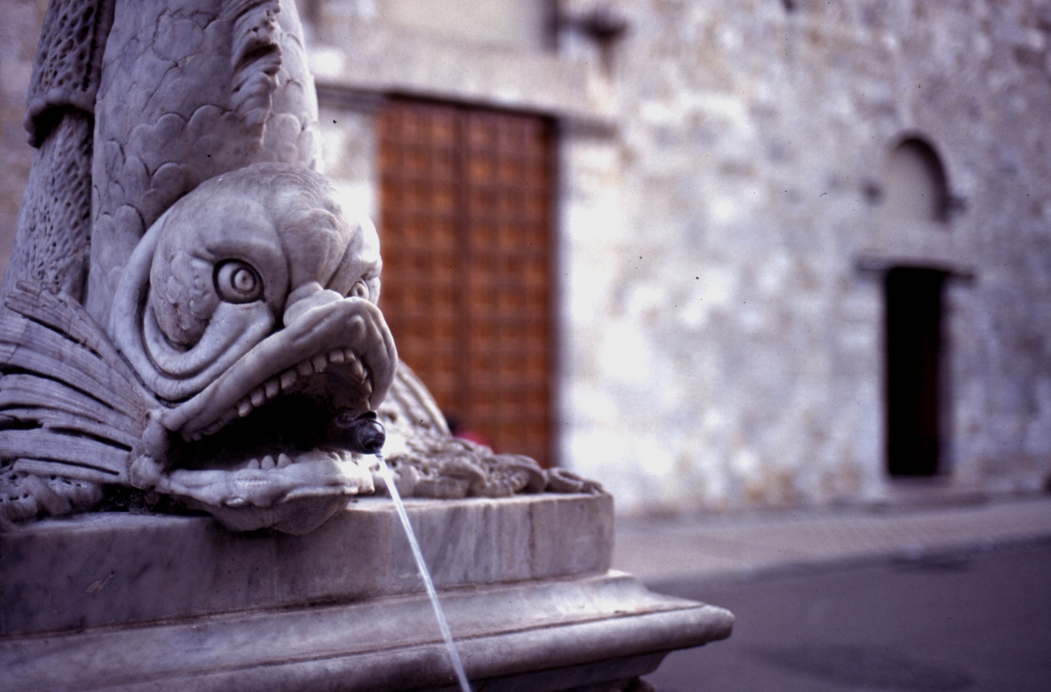 Camaiore, fontana e collegiata