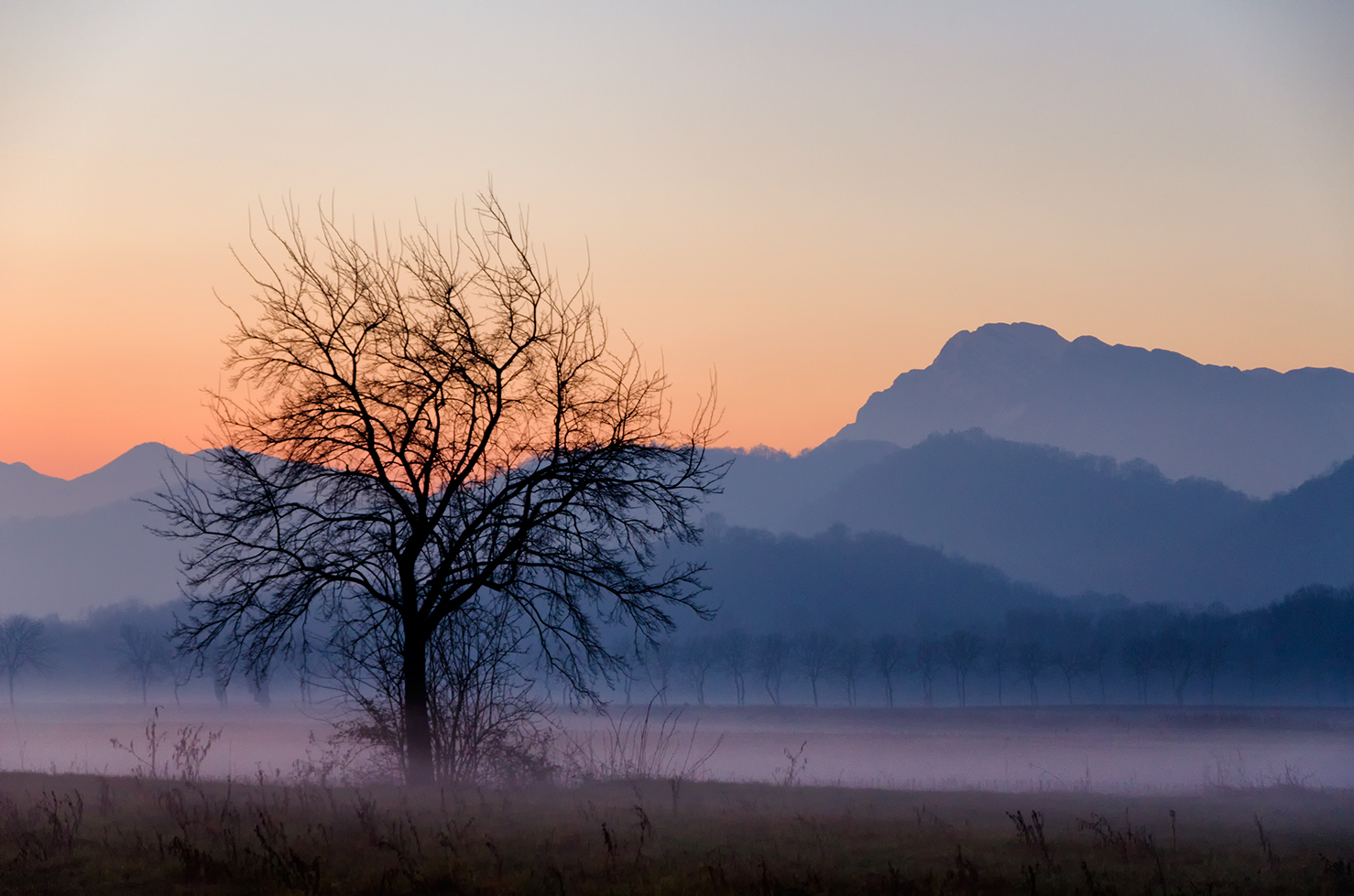 Icolori dell'autunno