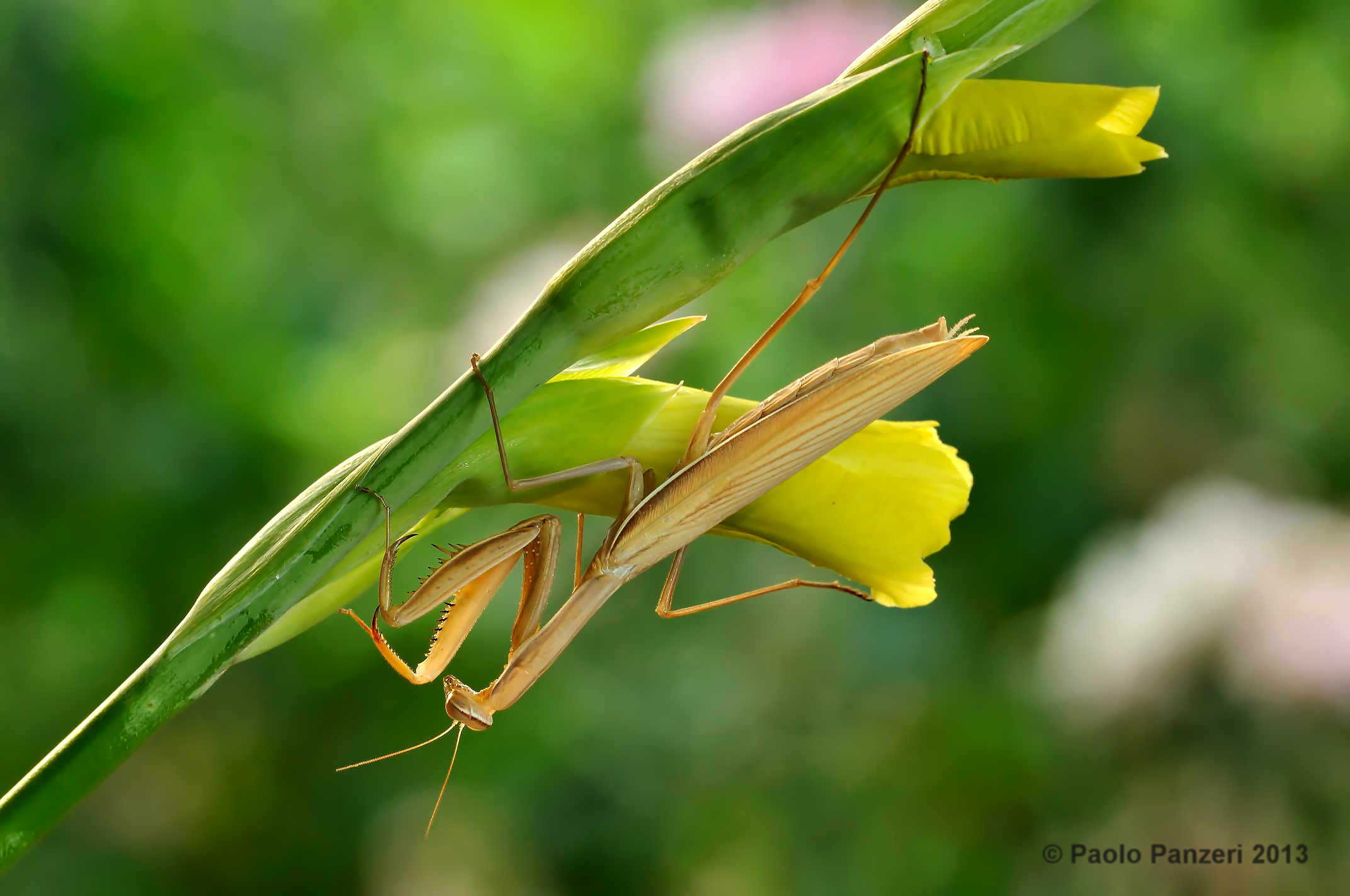 The opposite point of view!