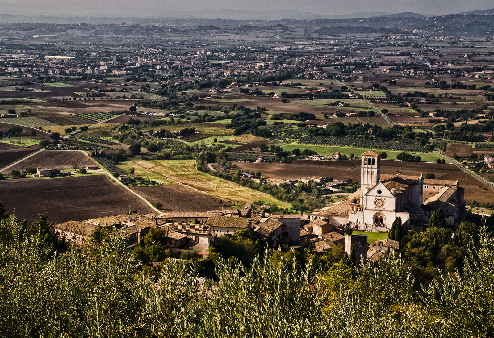 Basilica di S.Francesco