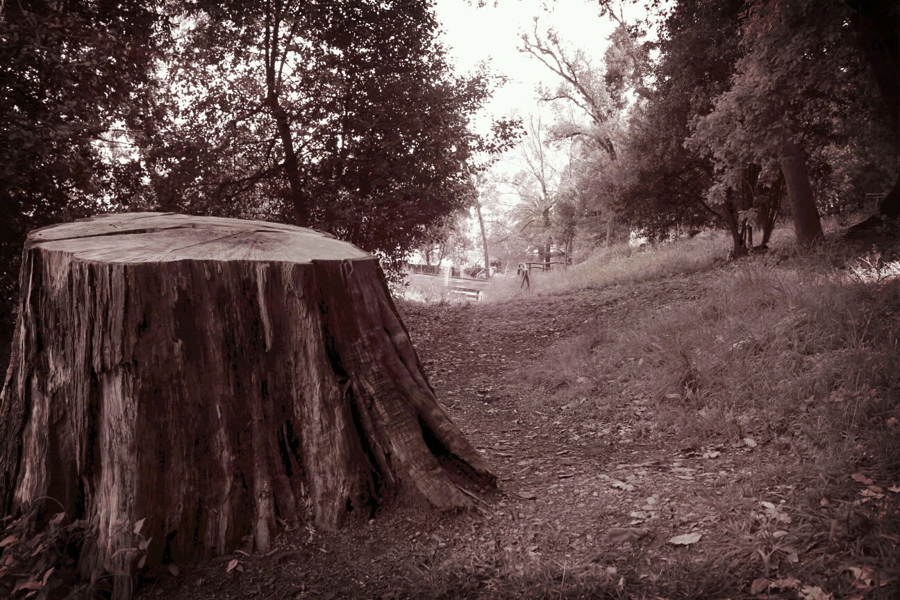 Botanical Park Villa Rocca Chiavari (Genoa)
