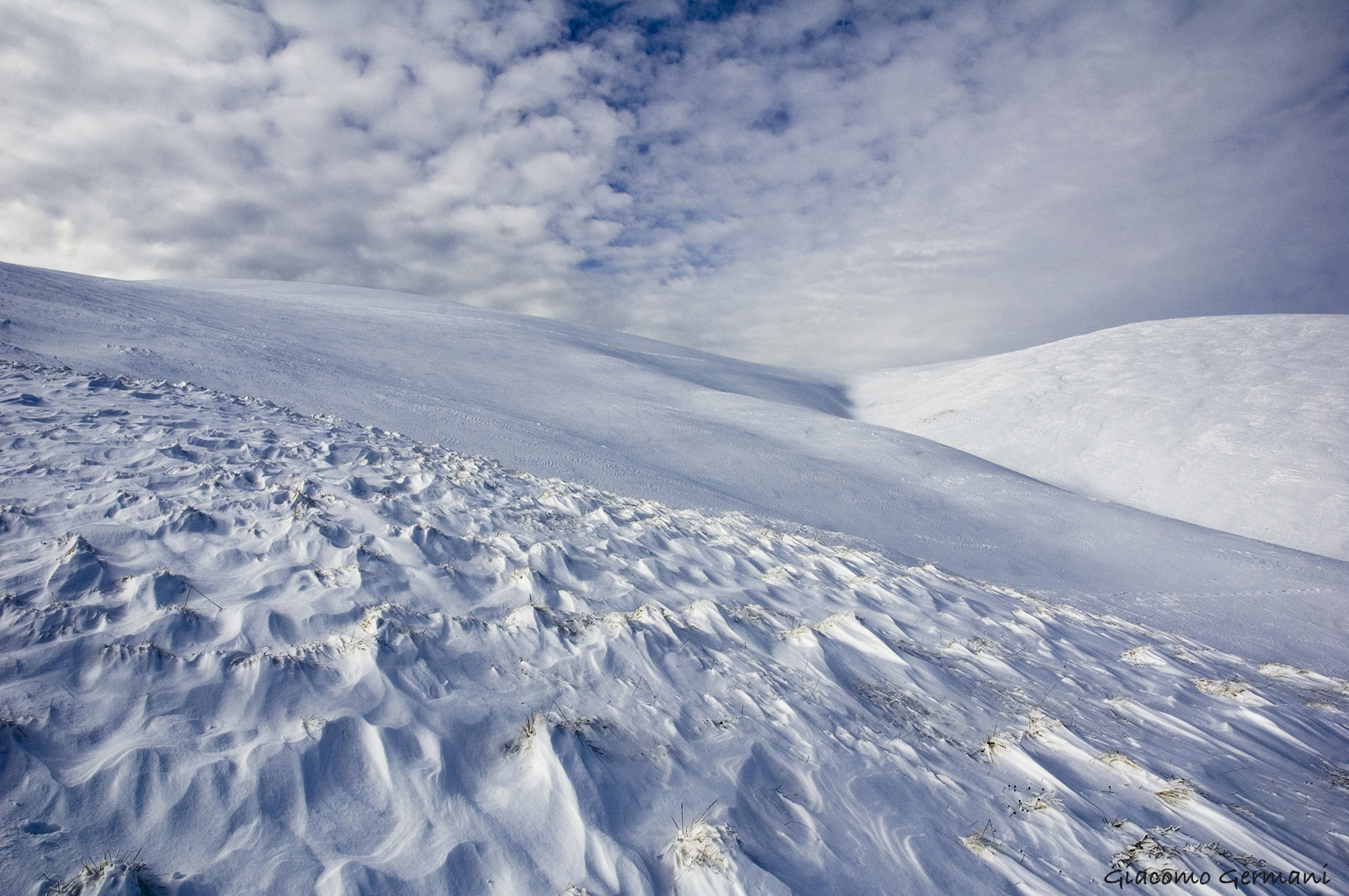 Cold desert (Cold Desert)