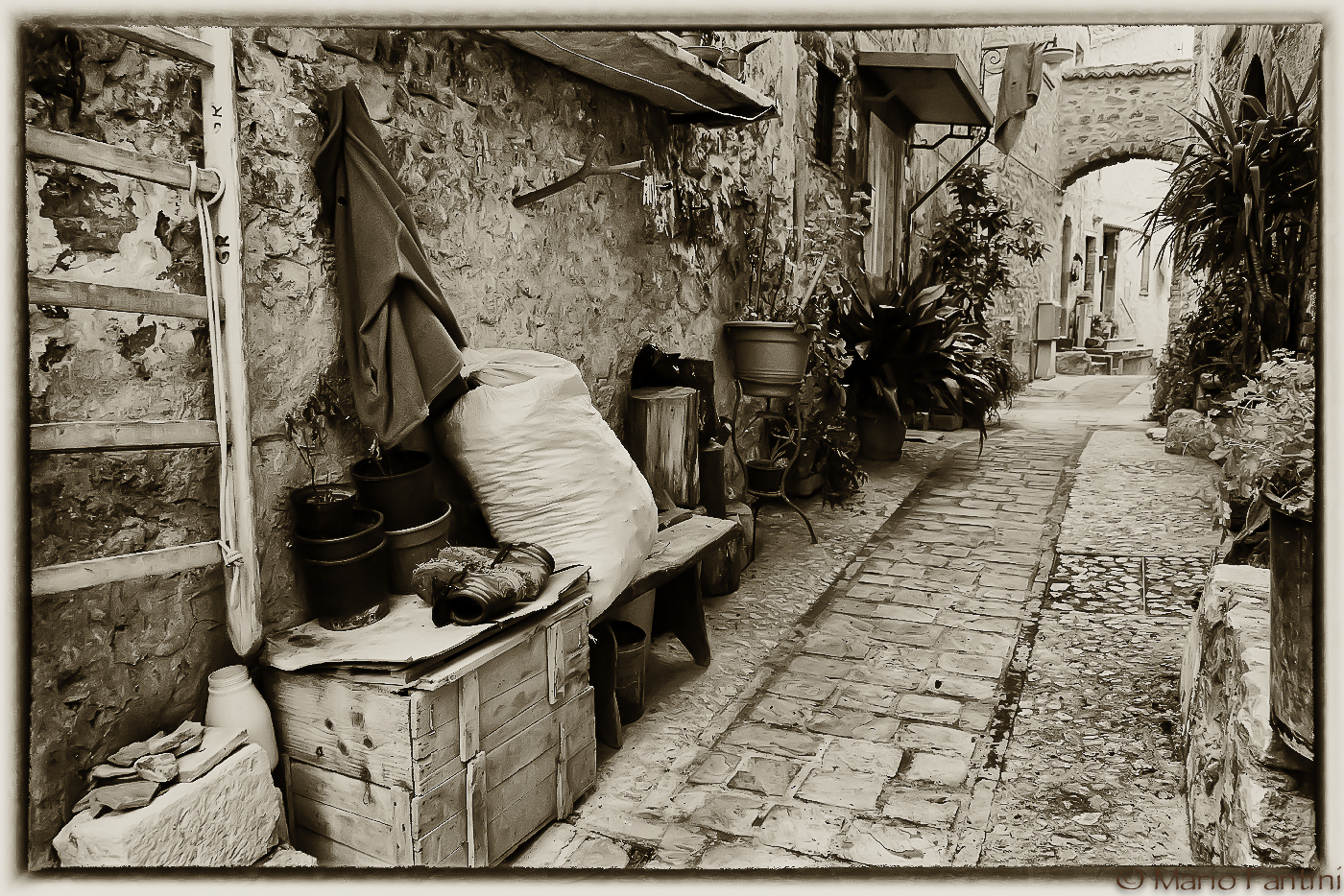 Il vialetto dei ricordi