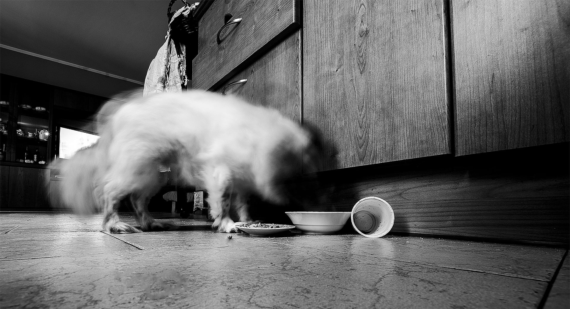 Bon appetit ... clean plate