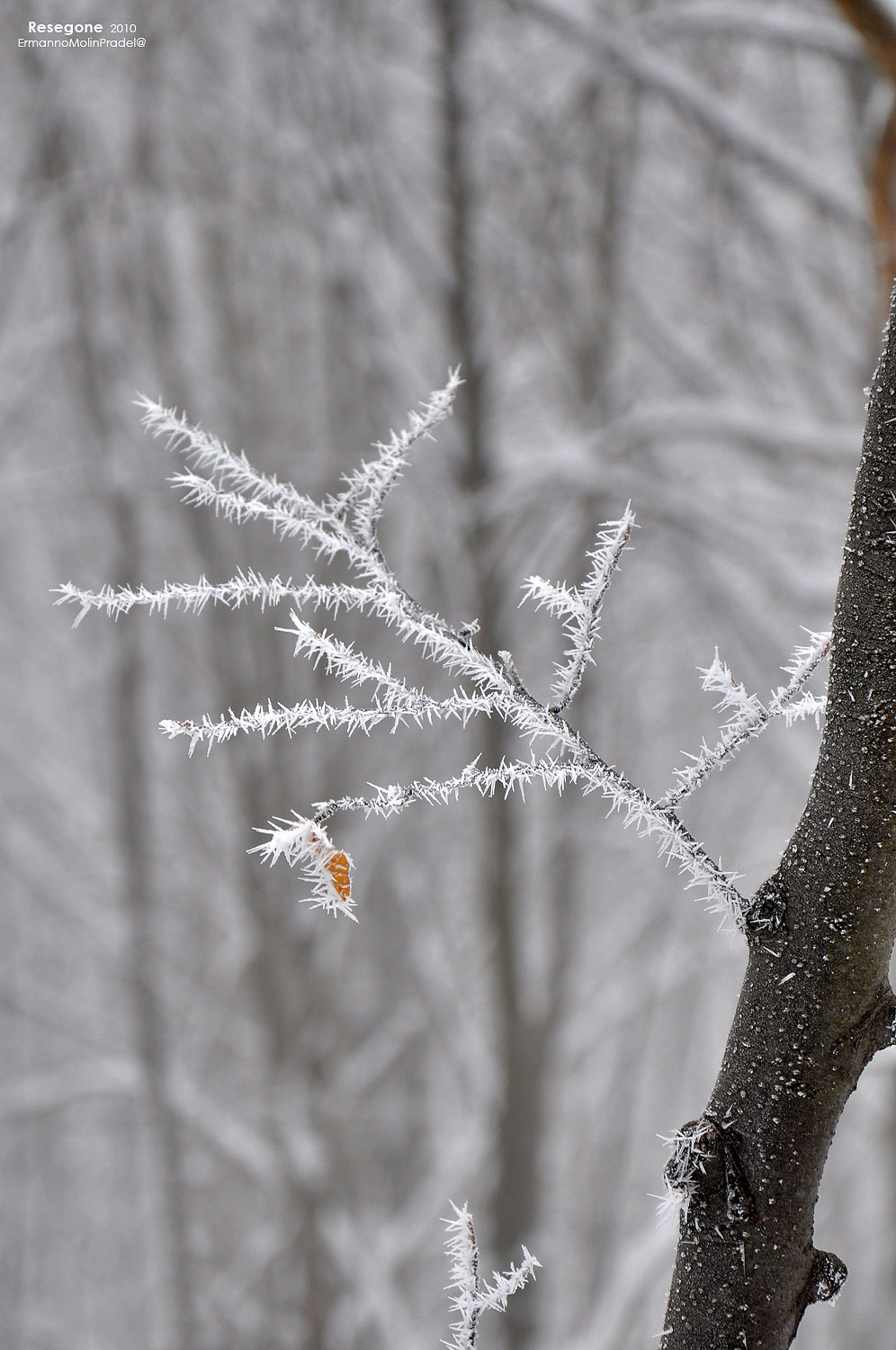 it will be just a second ..