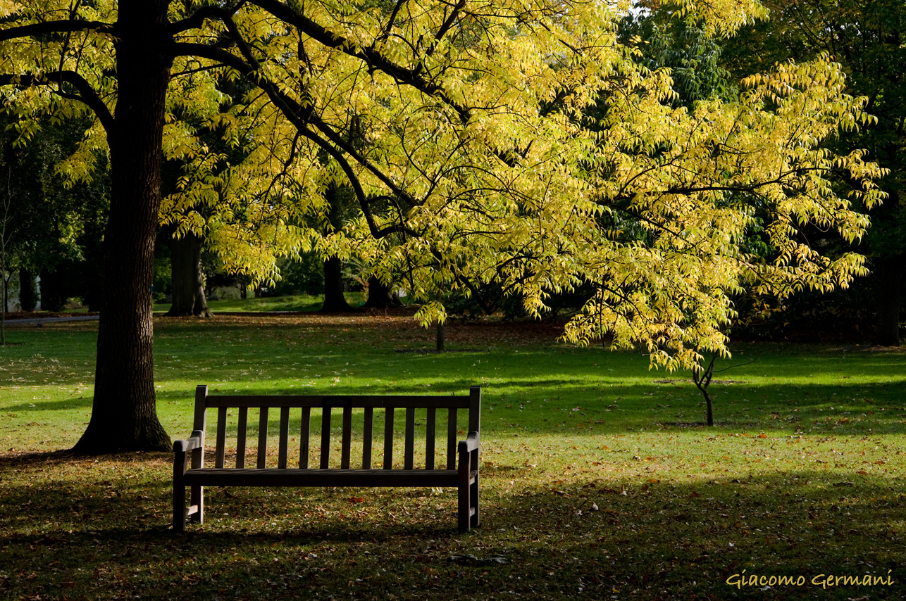 Autumn Garden (London)