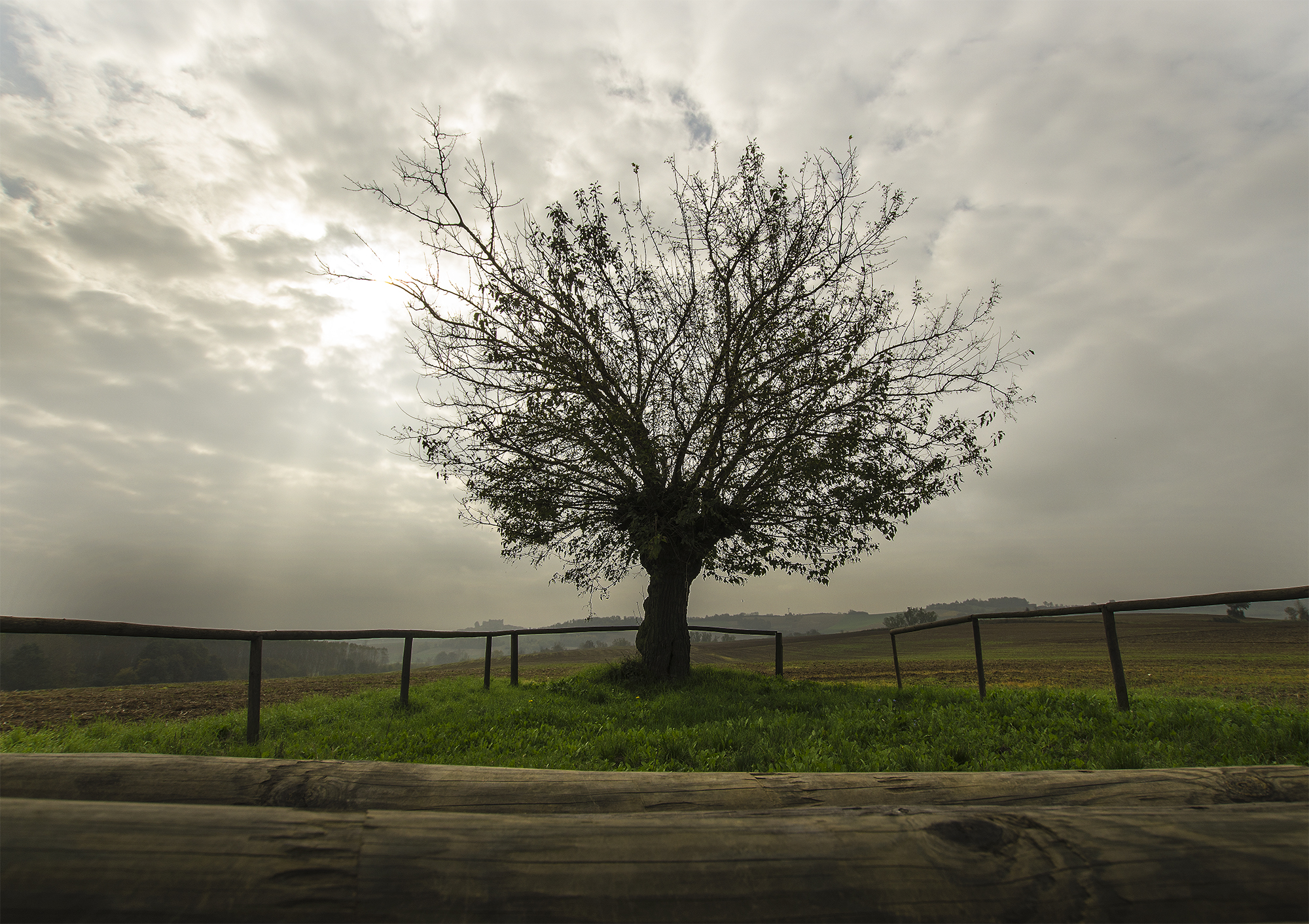 Being in the spotlight