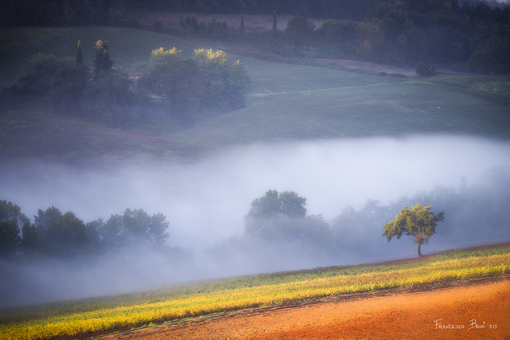 Any one autumn morning