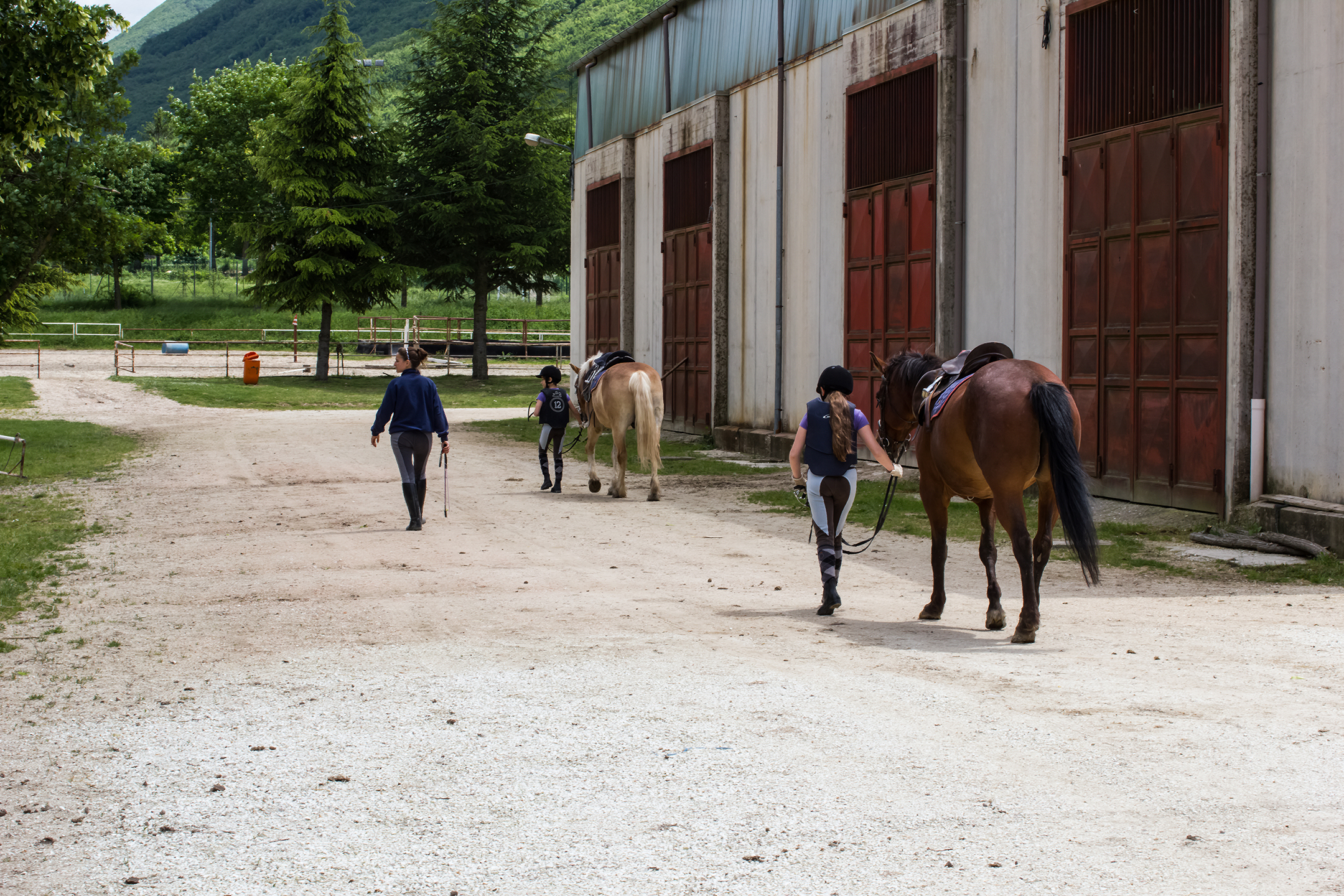 From Game to Reality