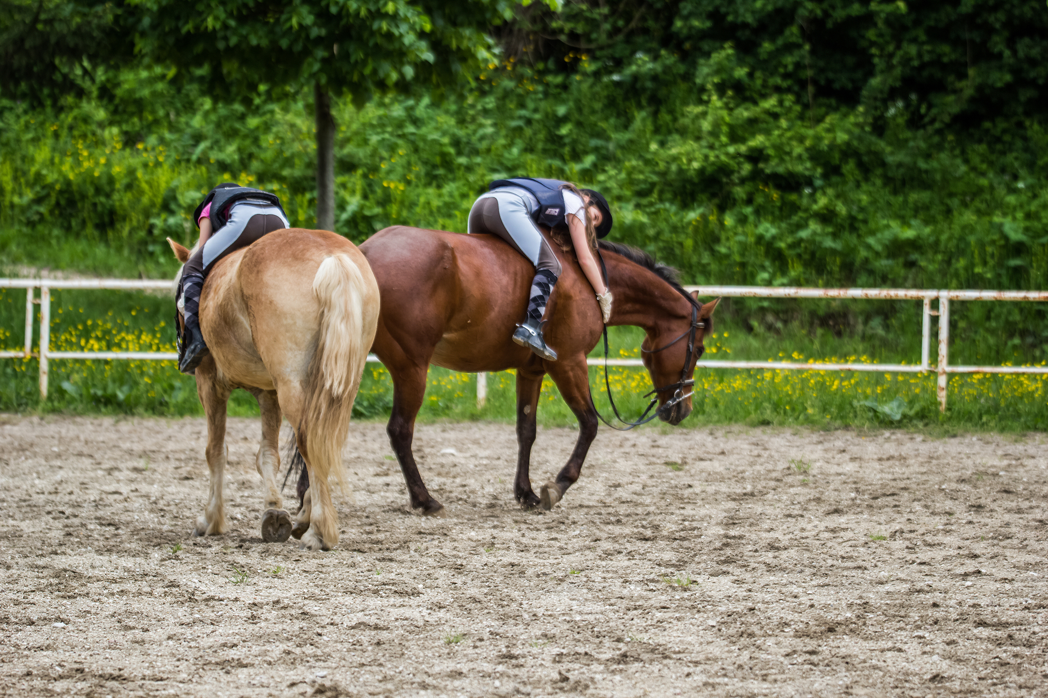 From Game to Reality