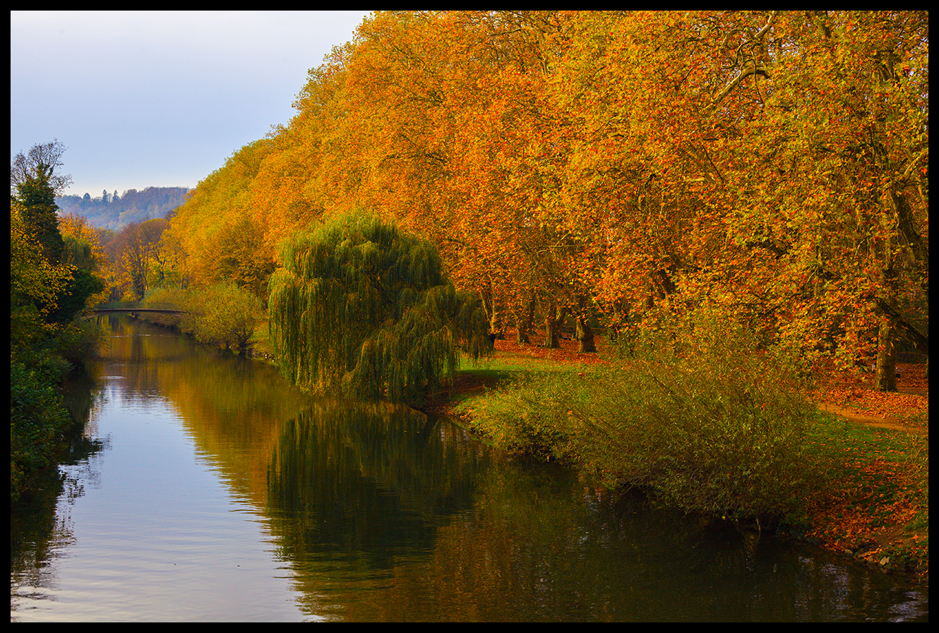I colori dell'autunno