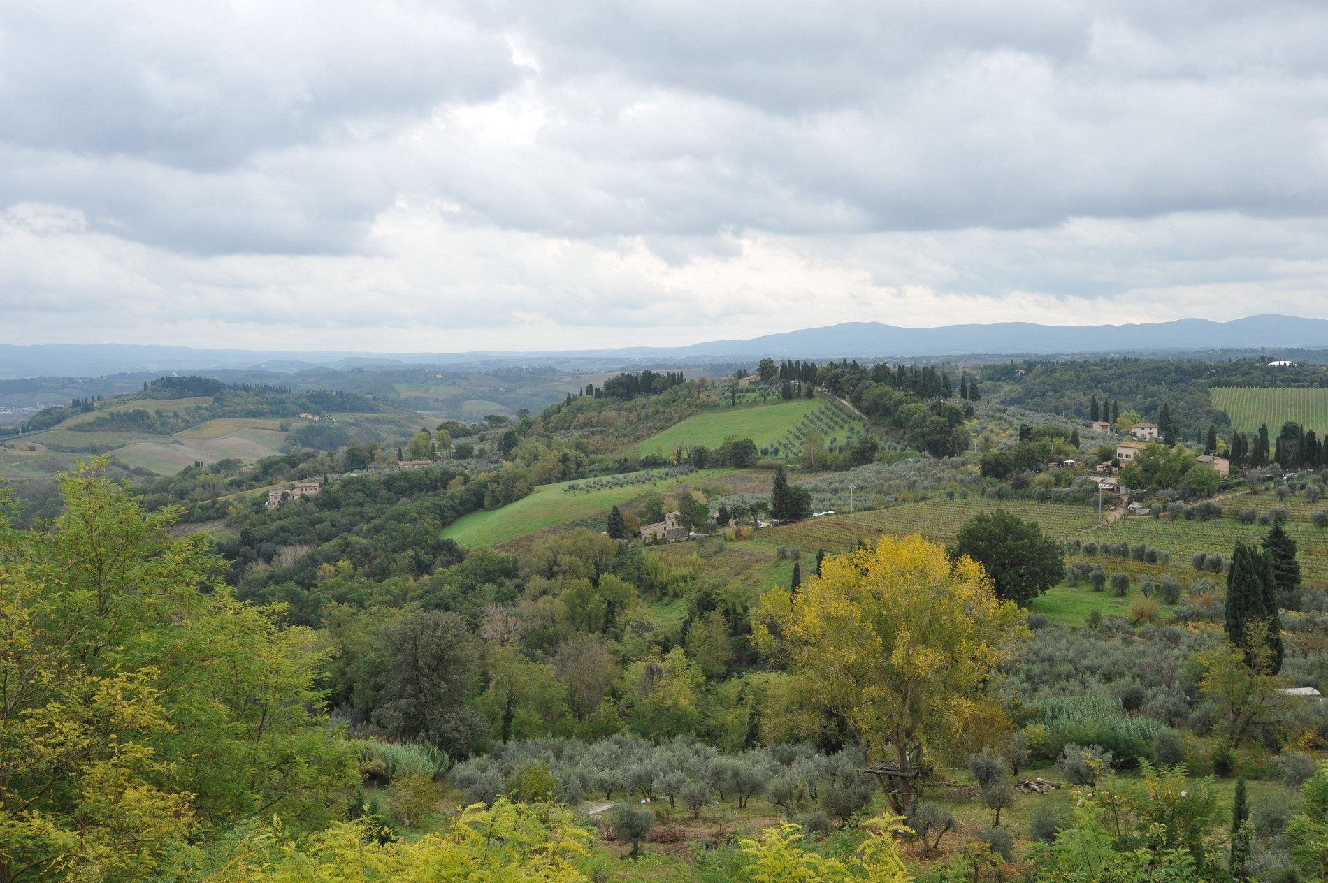 The hills of San Gimignano