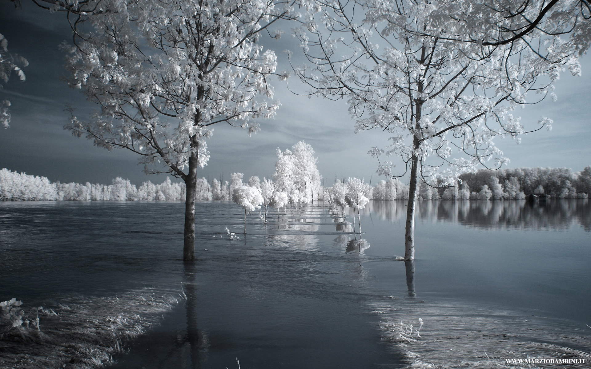 The way of sin, the Po in full in Pomponesco