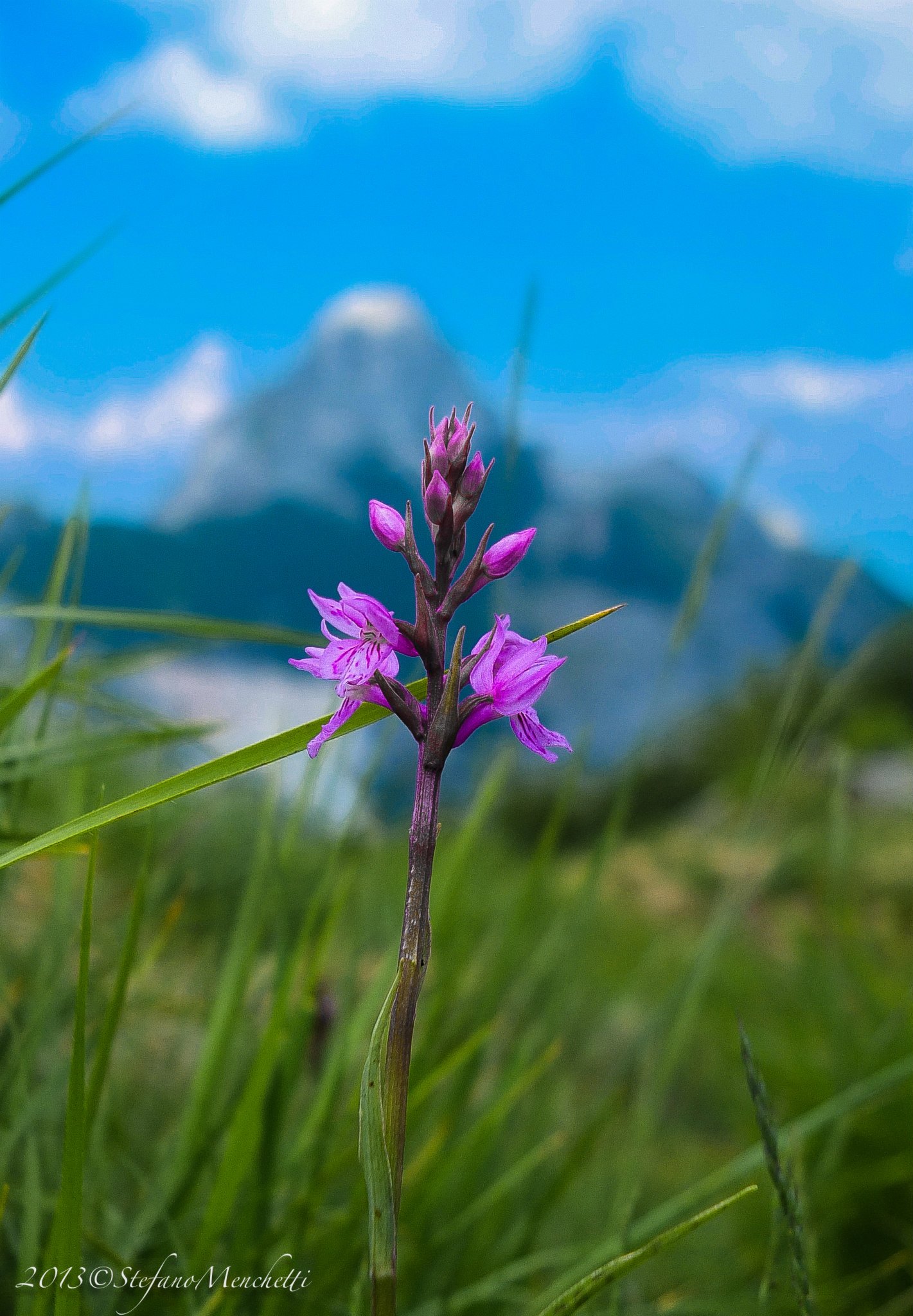 in the background the Pizzo d'Uccello