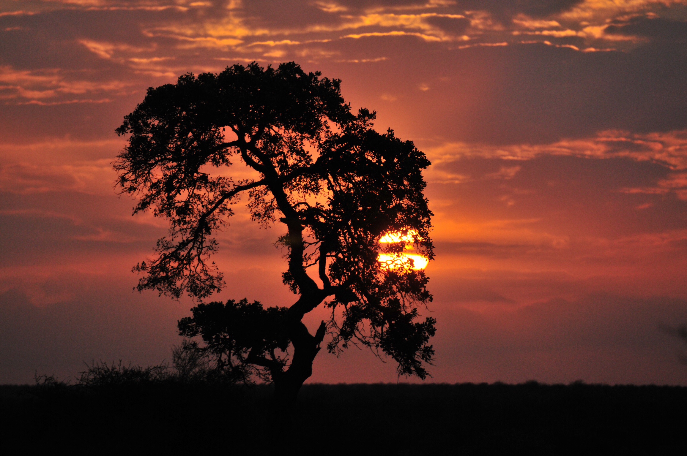 Tramonto africano