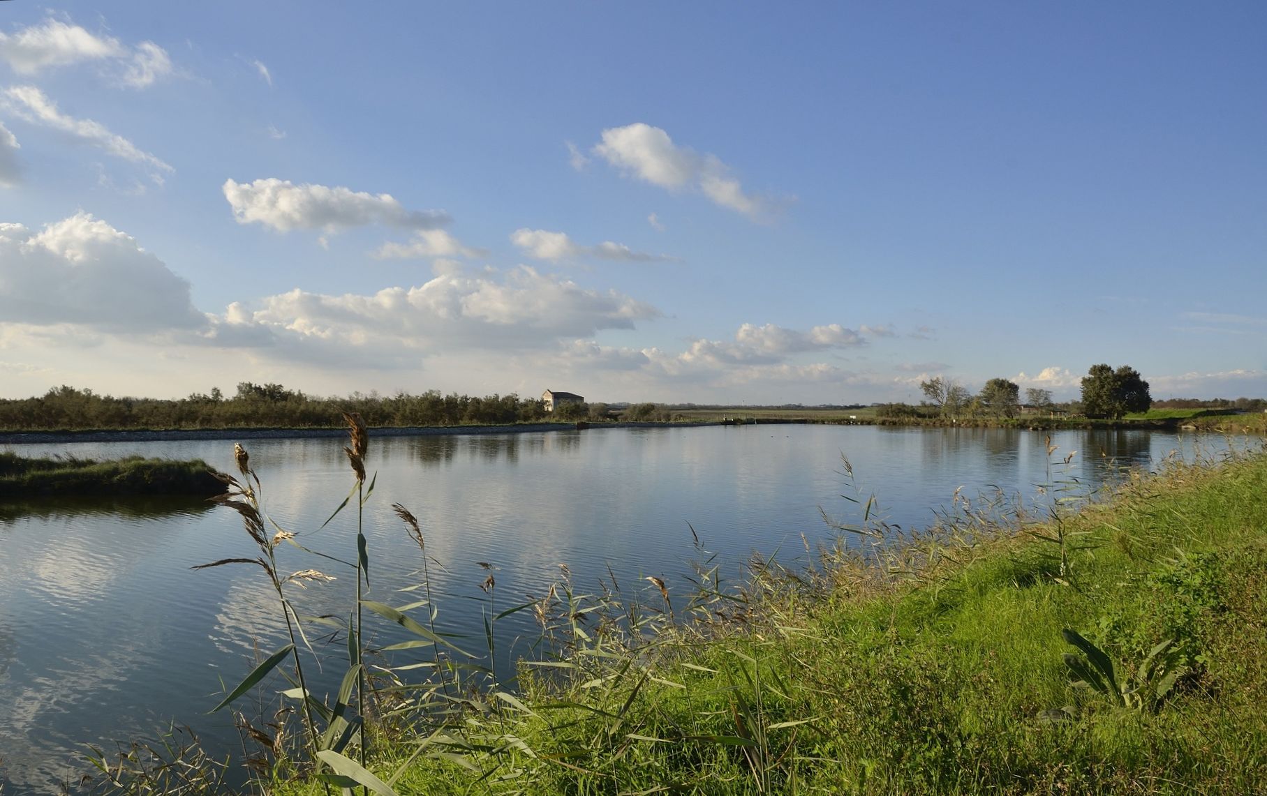 Valle del Delta del Po ( RO )