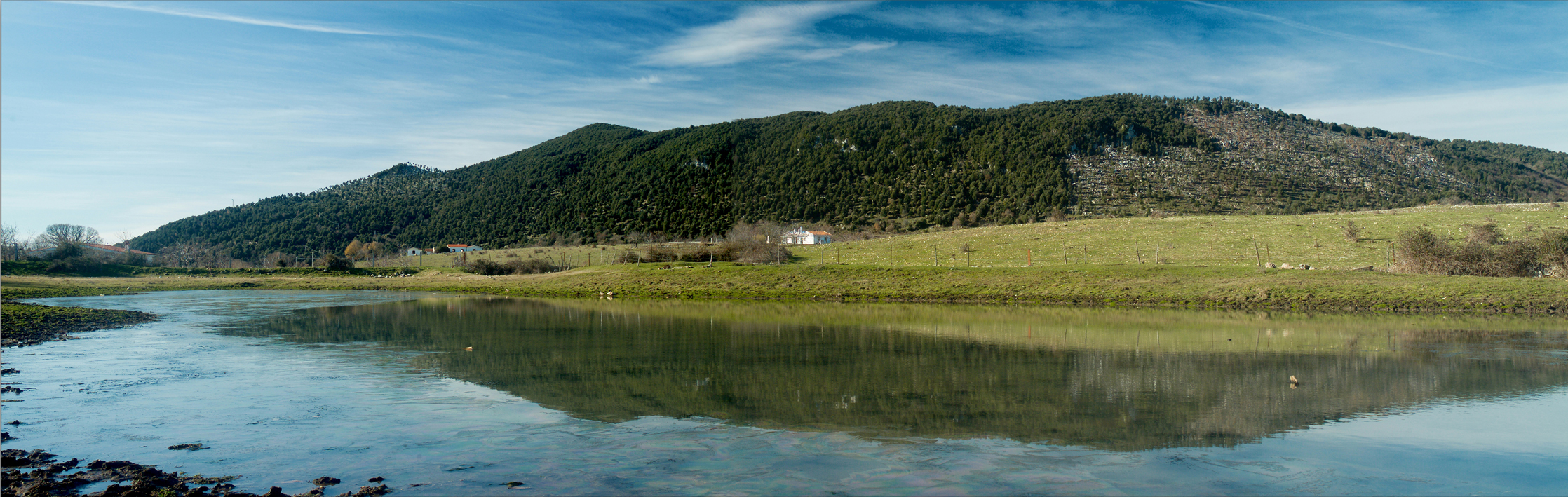 morning - Cutino cut