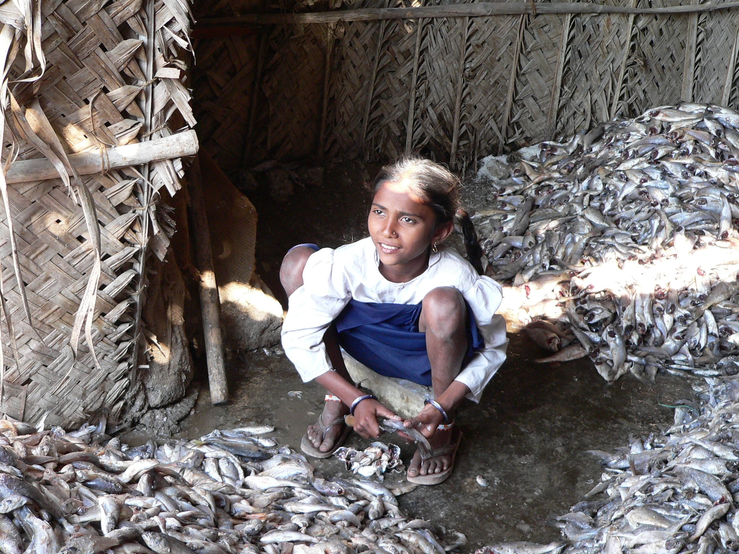 La pulitrice del pesce