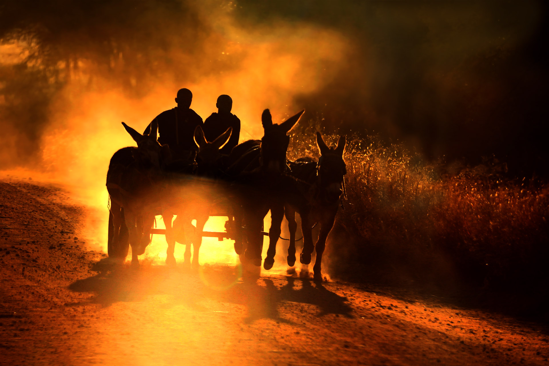 Trasporto locale Namibia