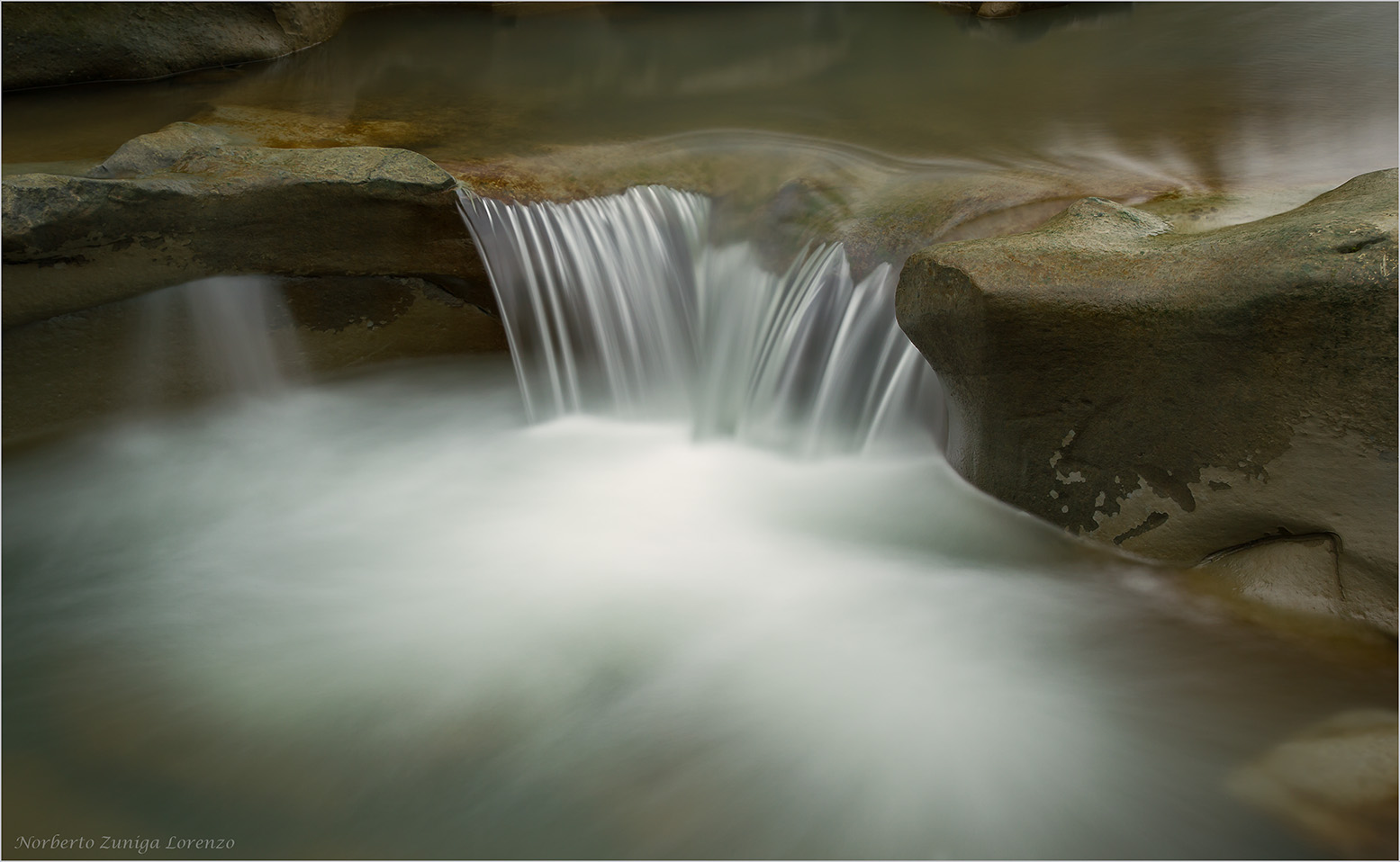 in the calm waters of the river