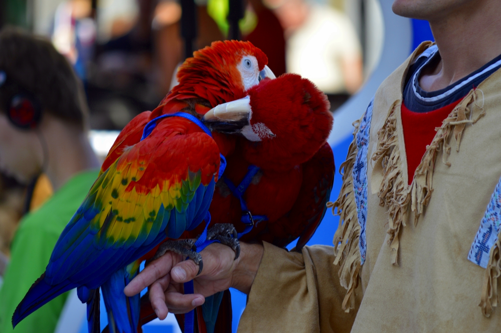 Love is better if it's colored!