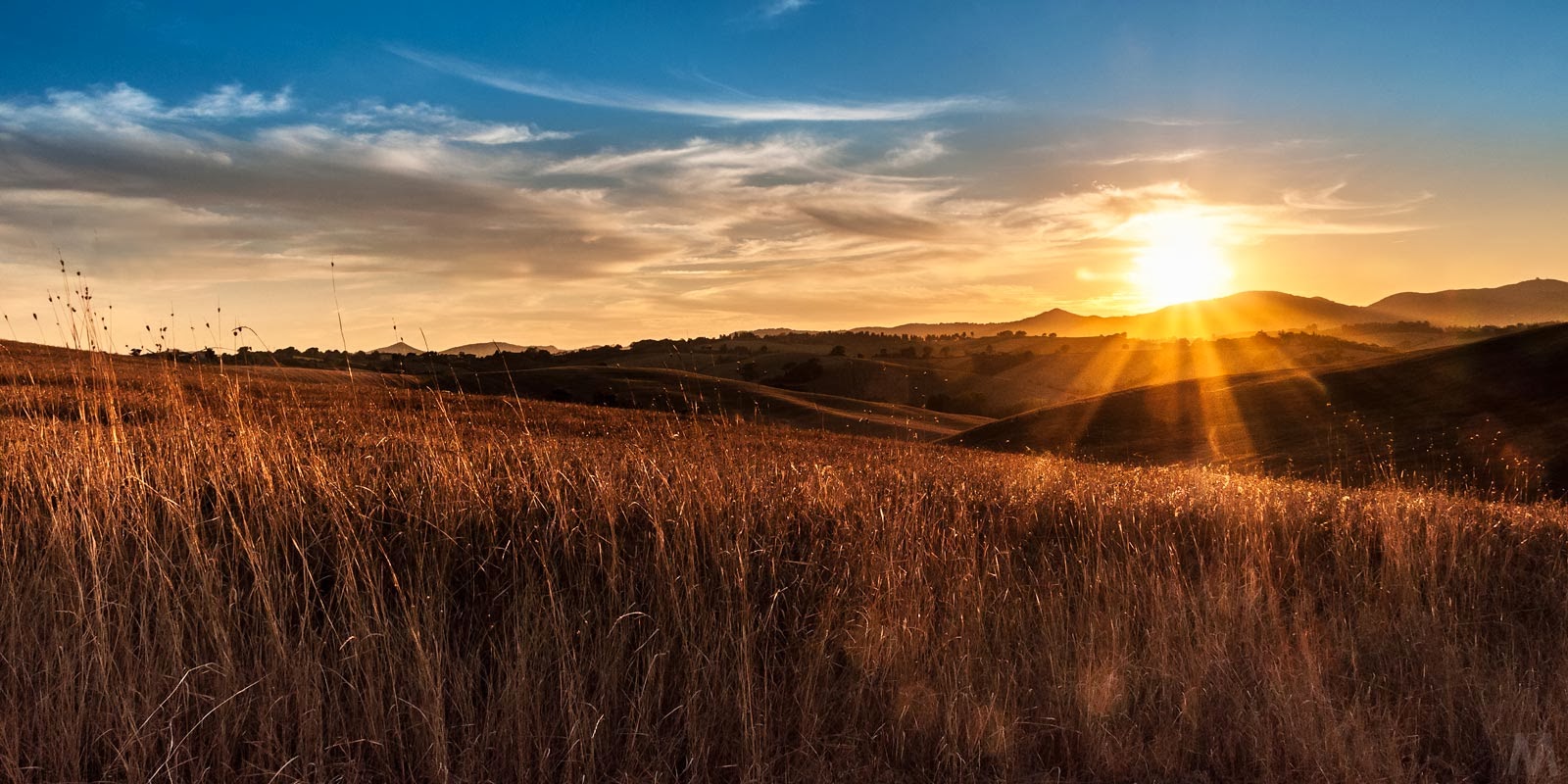 ..my last sunset in tuscany