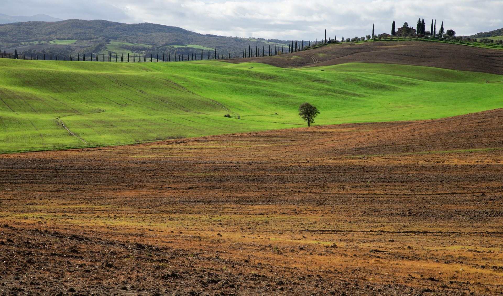 Toscana - Val d'orcia