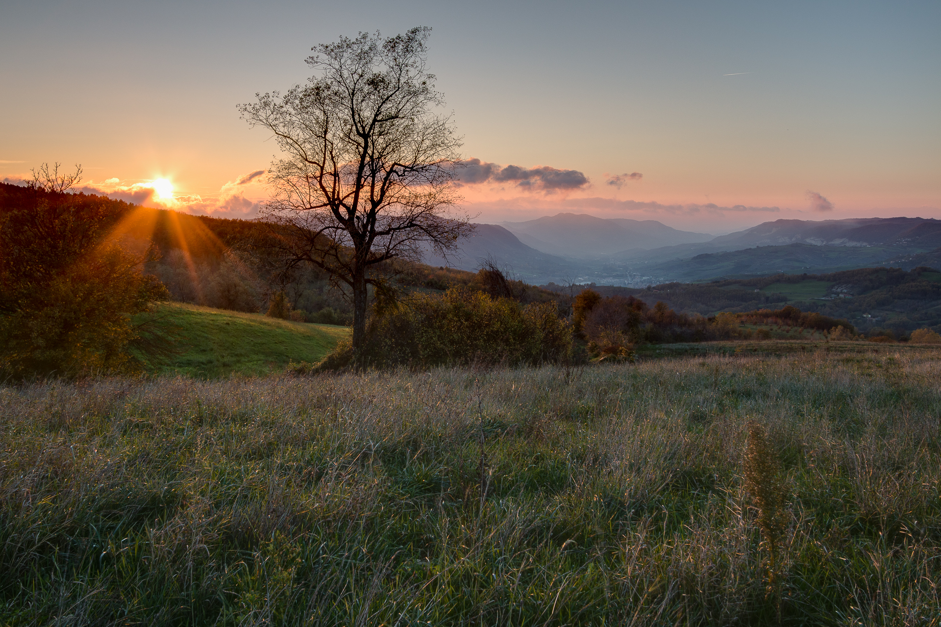 Staffora Valley
