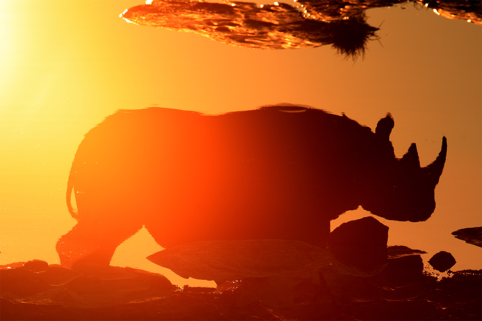 Tramonto Riflessione