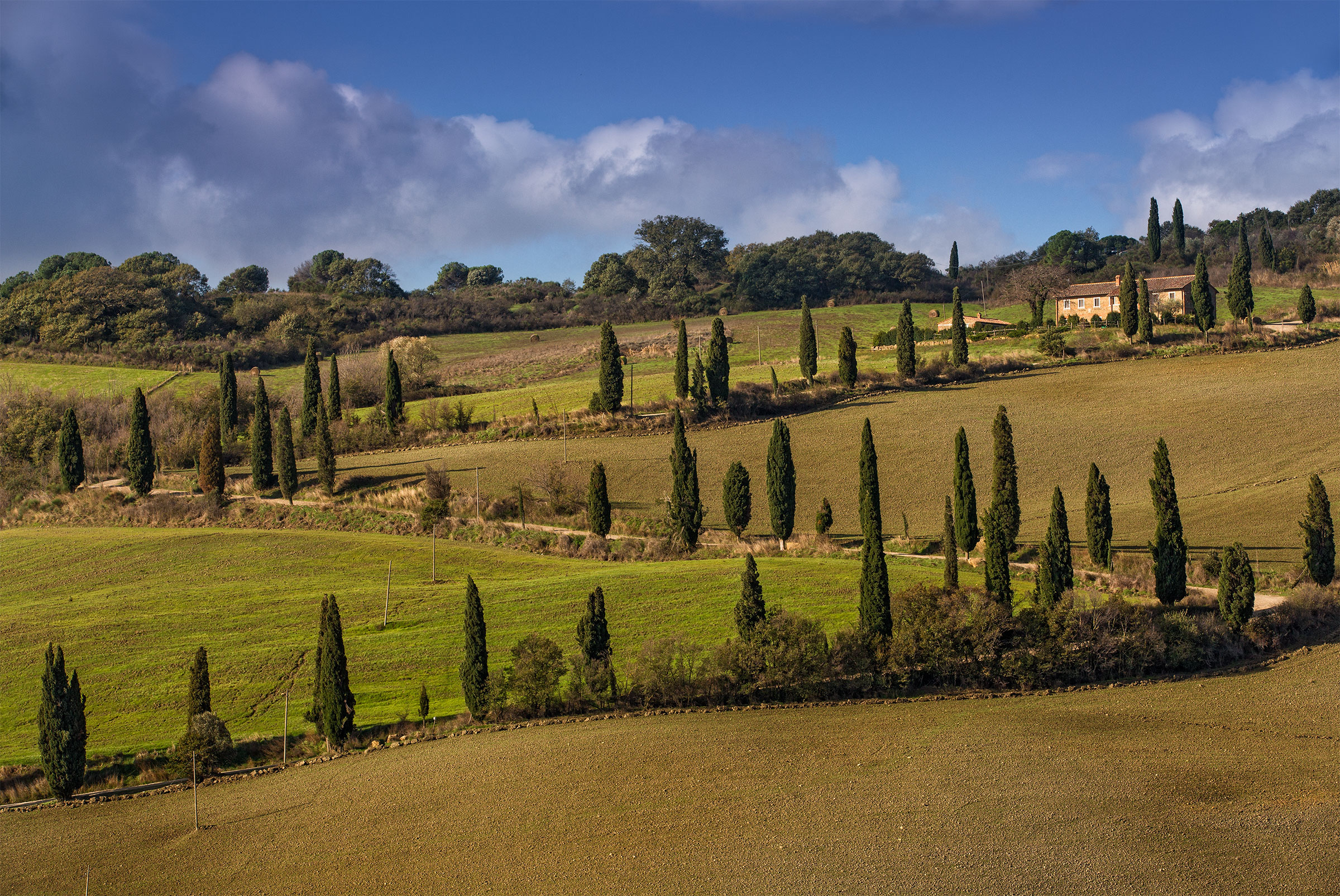 Road Mouth of Autumn II