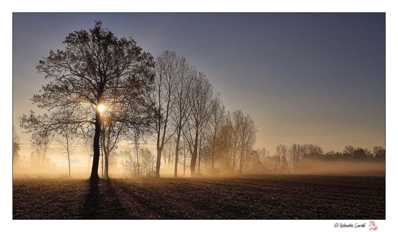 Sunrise in the countryside