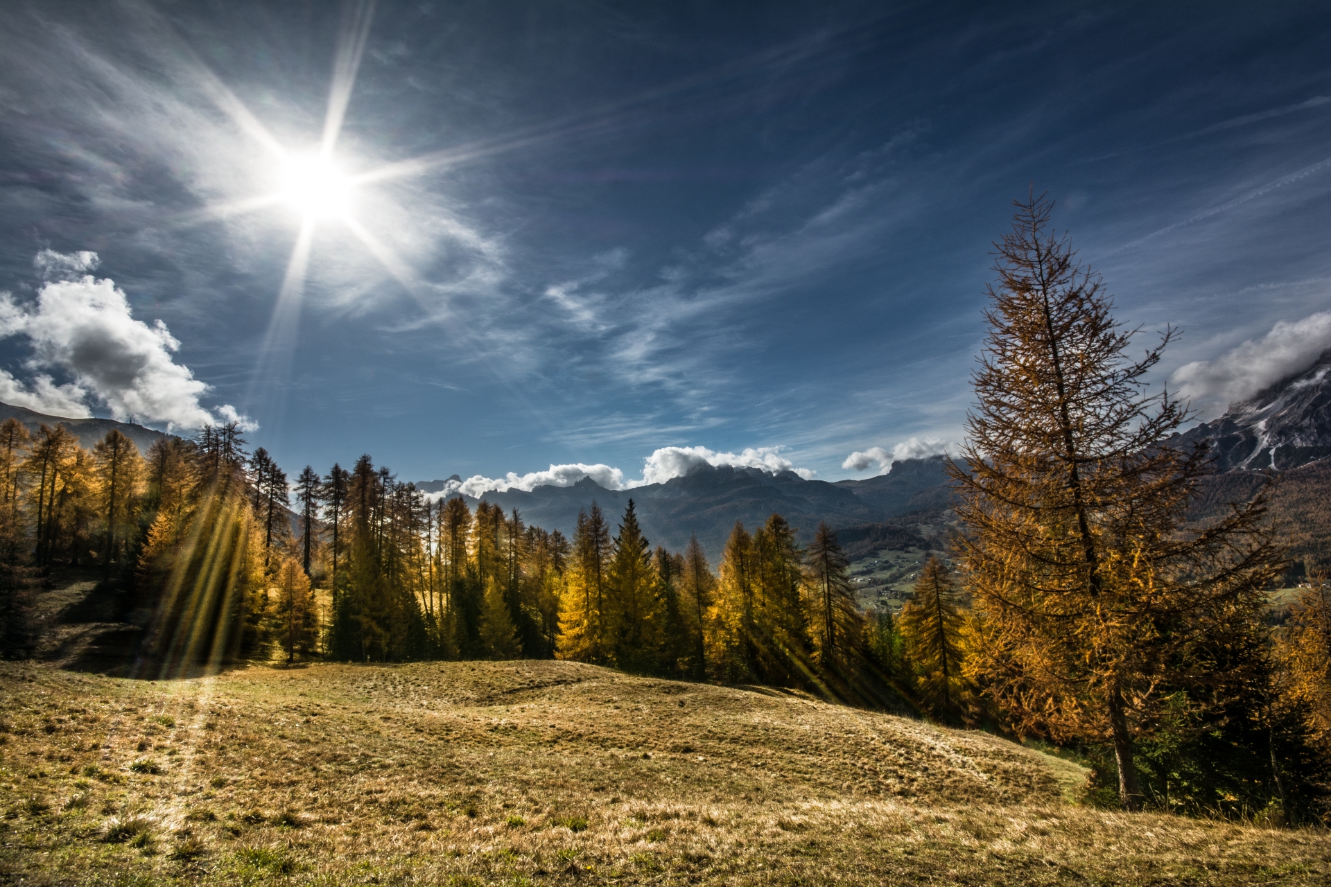 fall towards the cabin Mietres