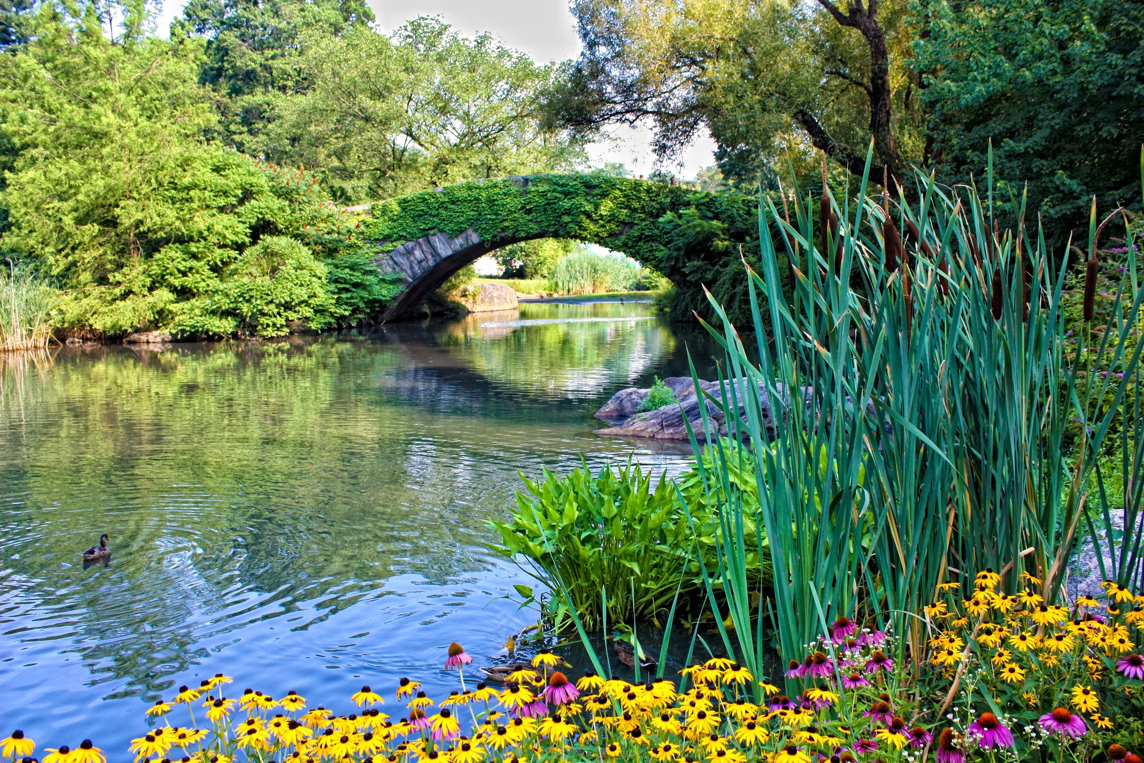 new york central park