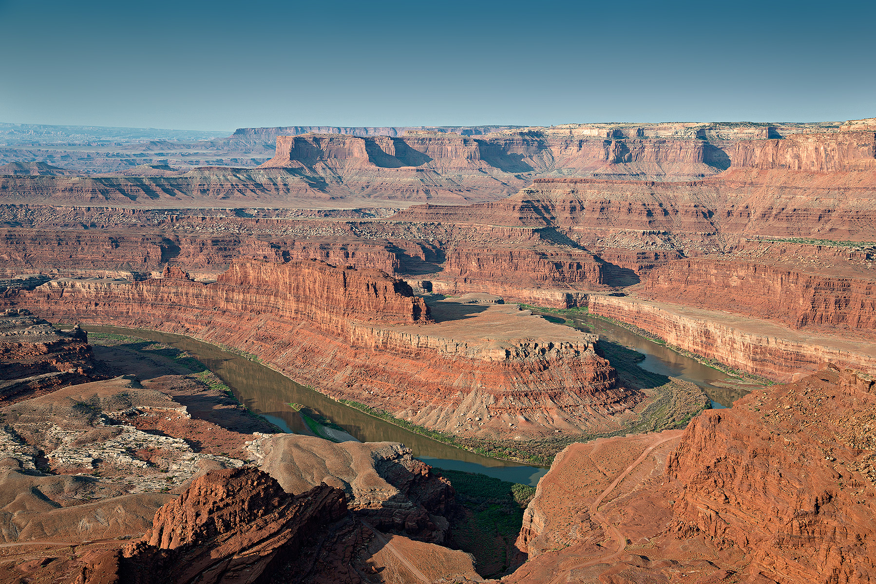 The point of the dead horse