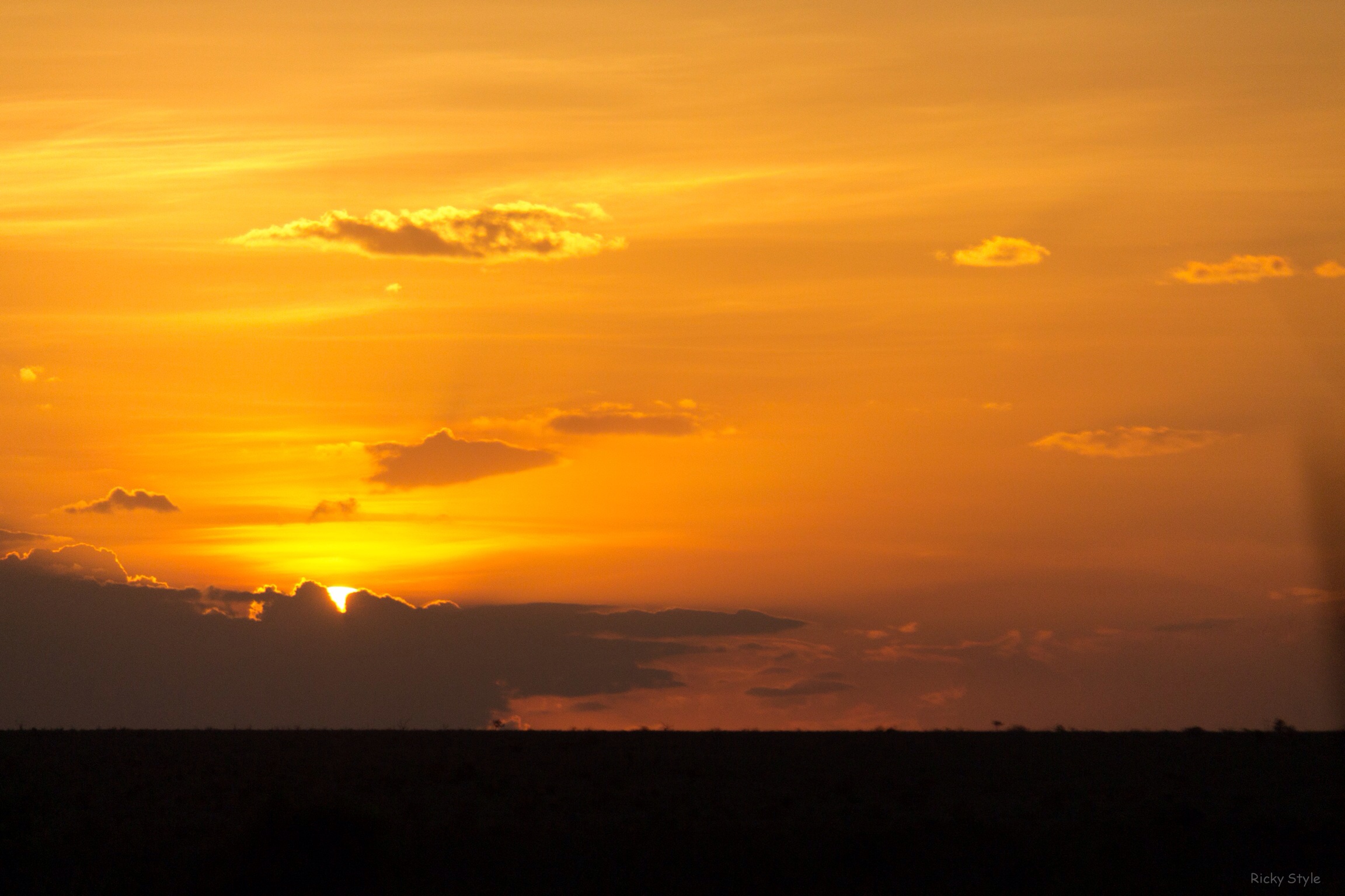 Tramonto nella Savana