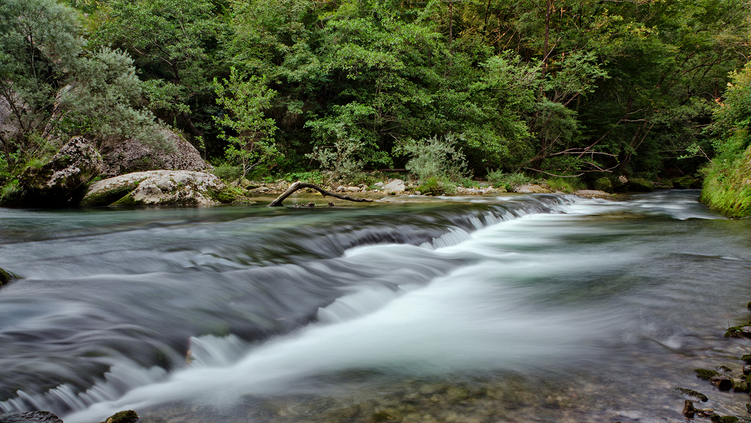 Torrente Cosa a Molevana