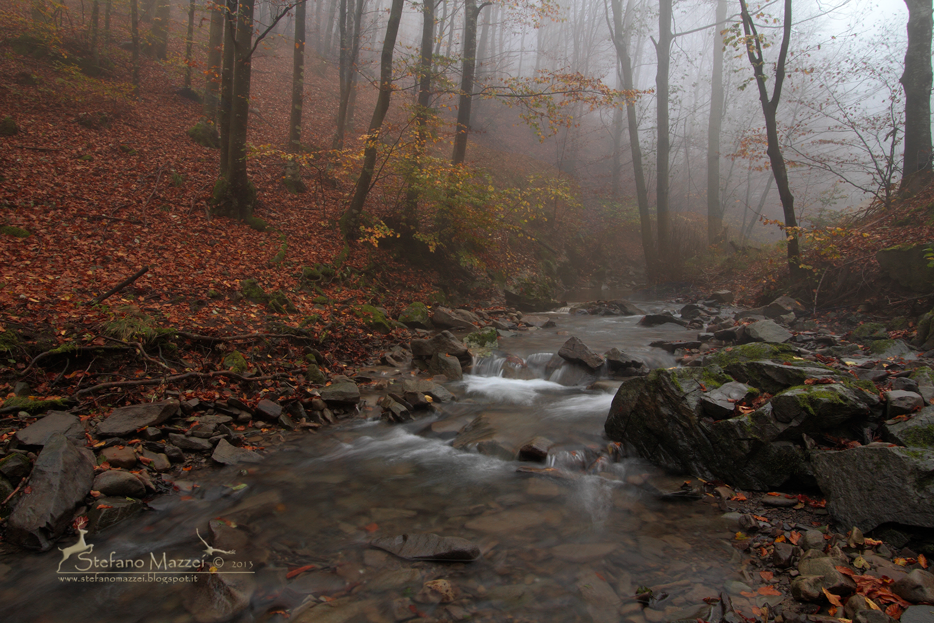 Autunno in appennino ...