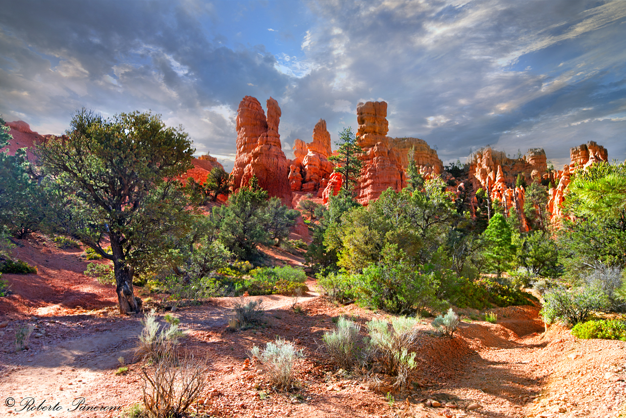 Bryce vision