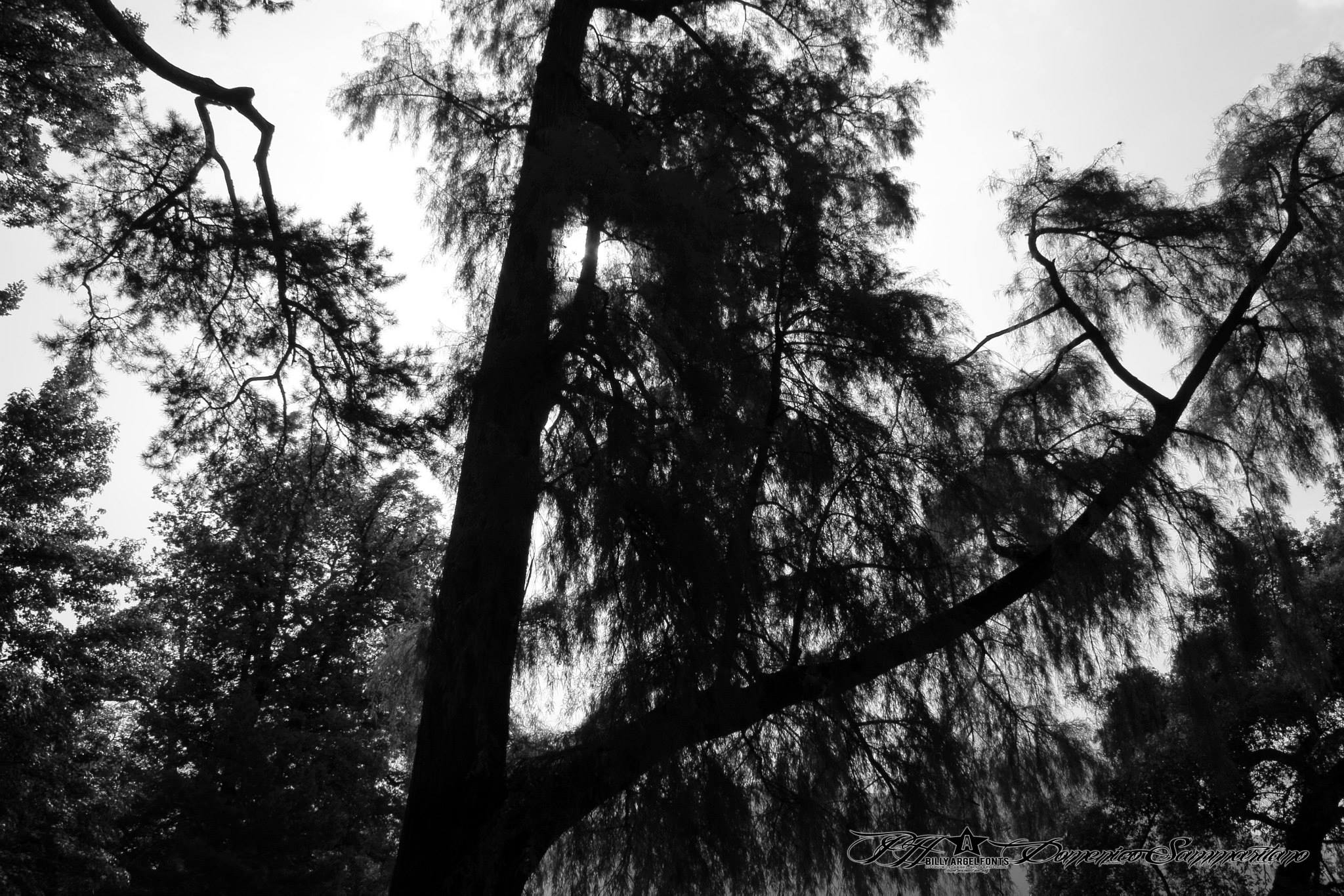 Parco Ciani - Switzerland