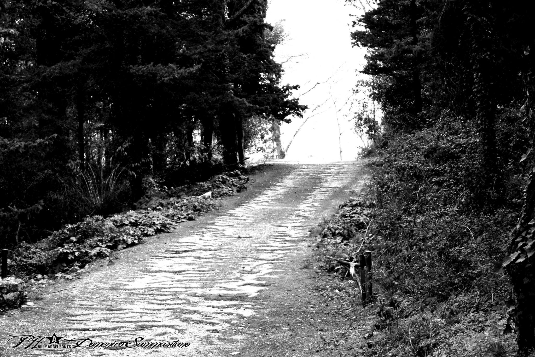 Road to Mount Bonifato