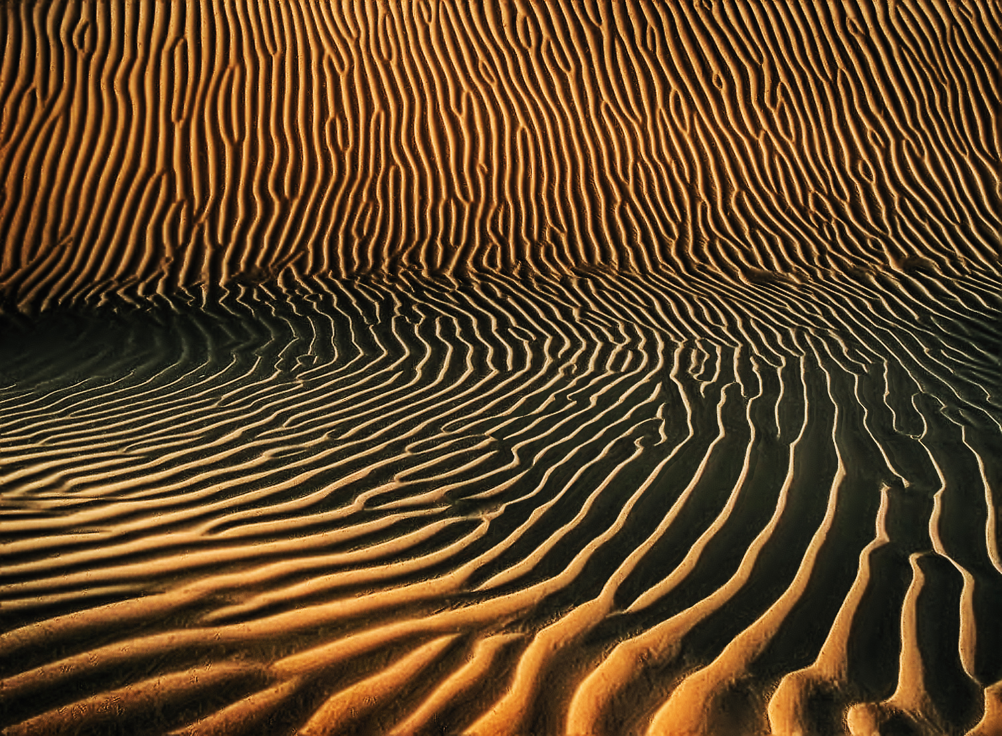 Sam Sand Dunes