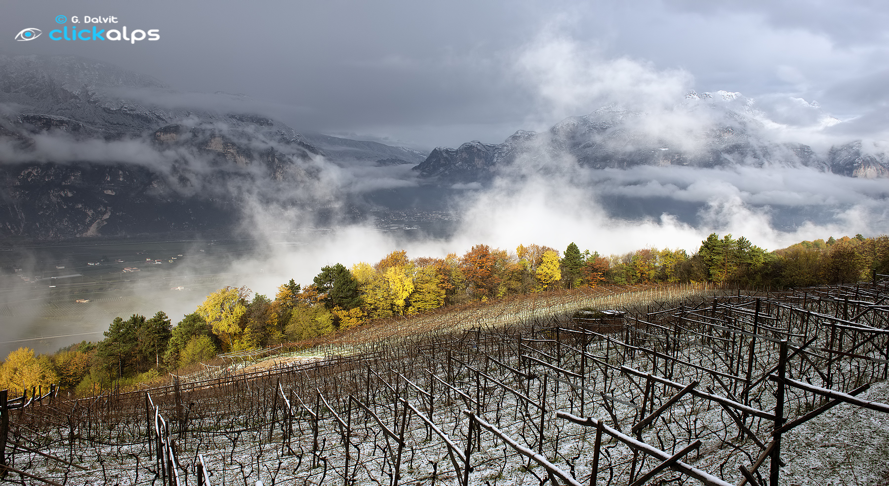 Istanti di Luce sfuggevole....