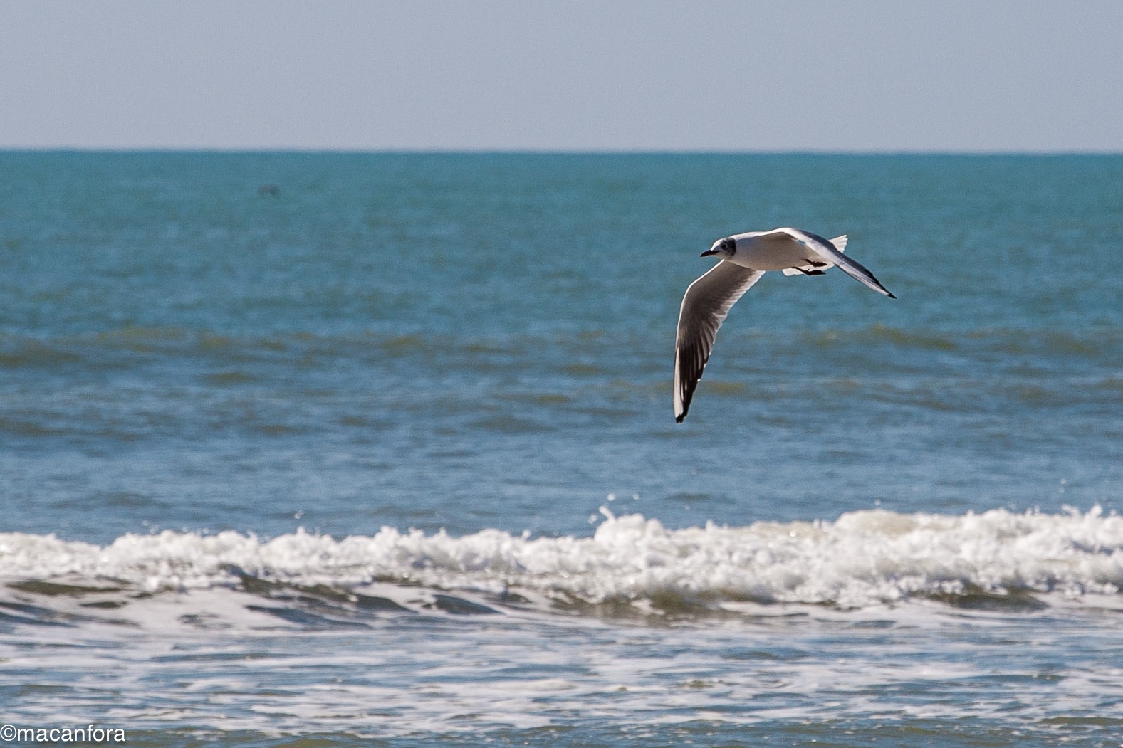 Passeggiata in riva...
