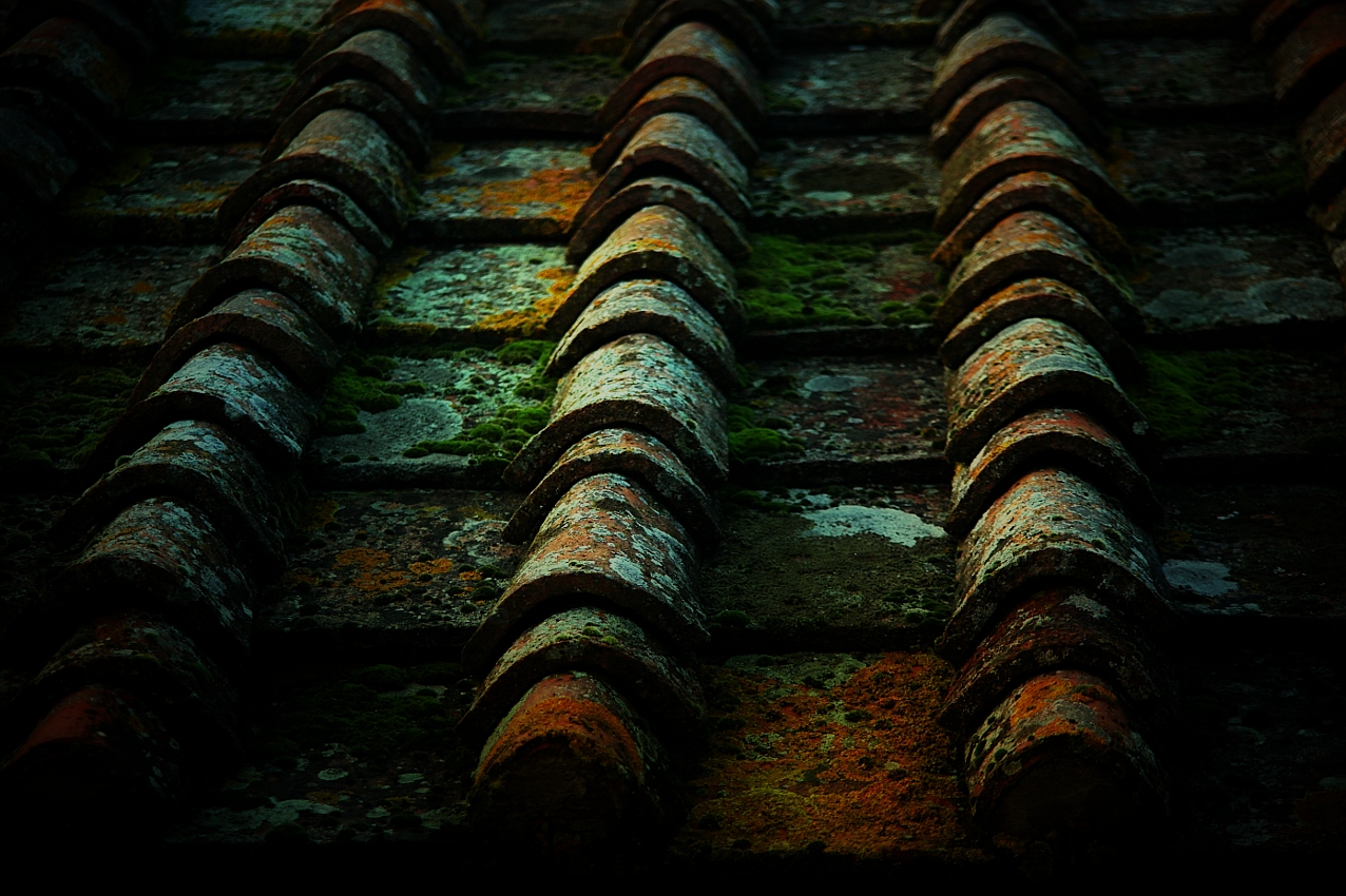Tuscan roof