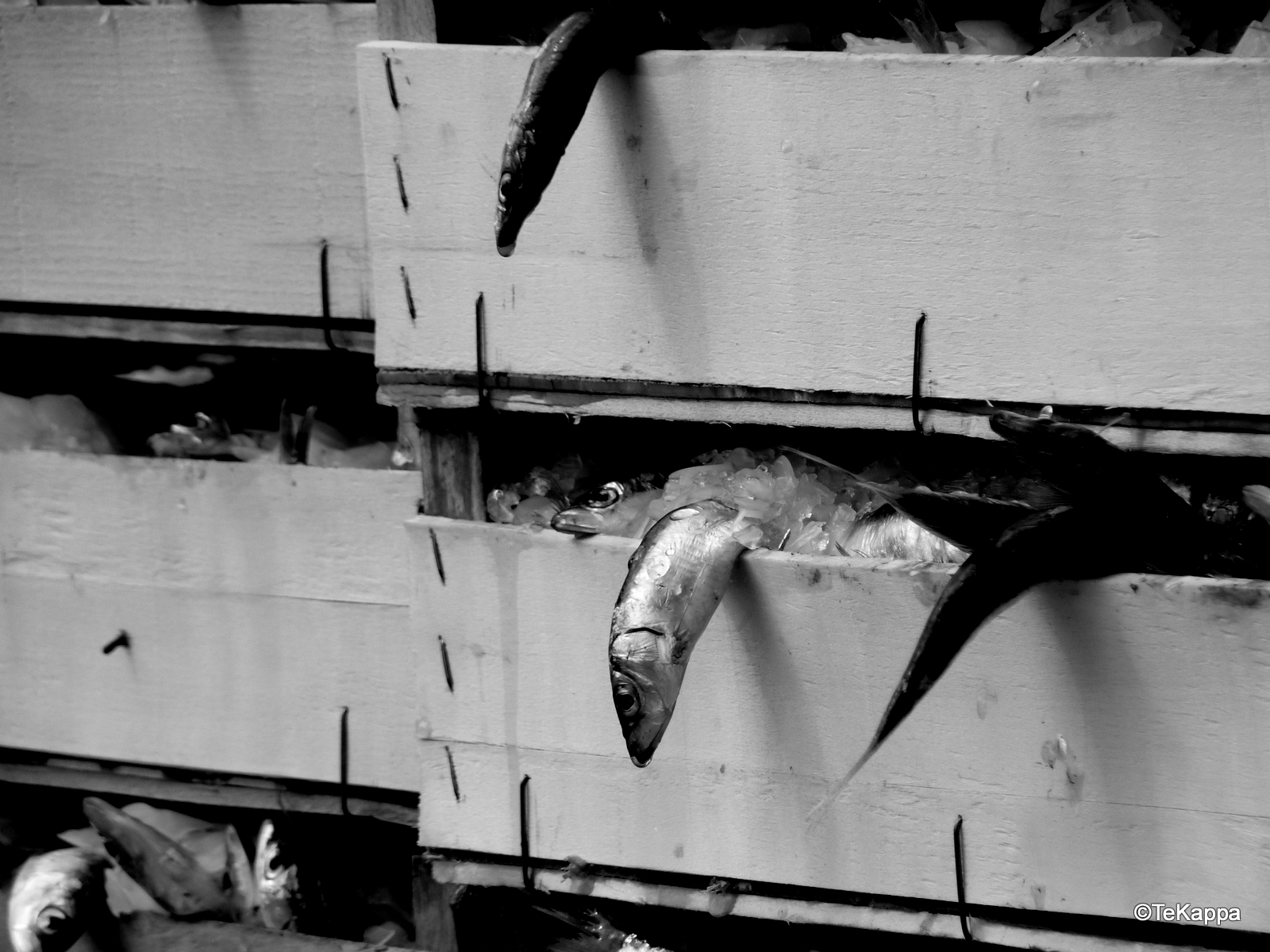 Qualcosa di sospetto