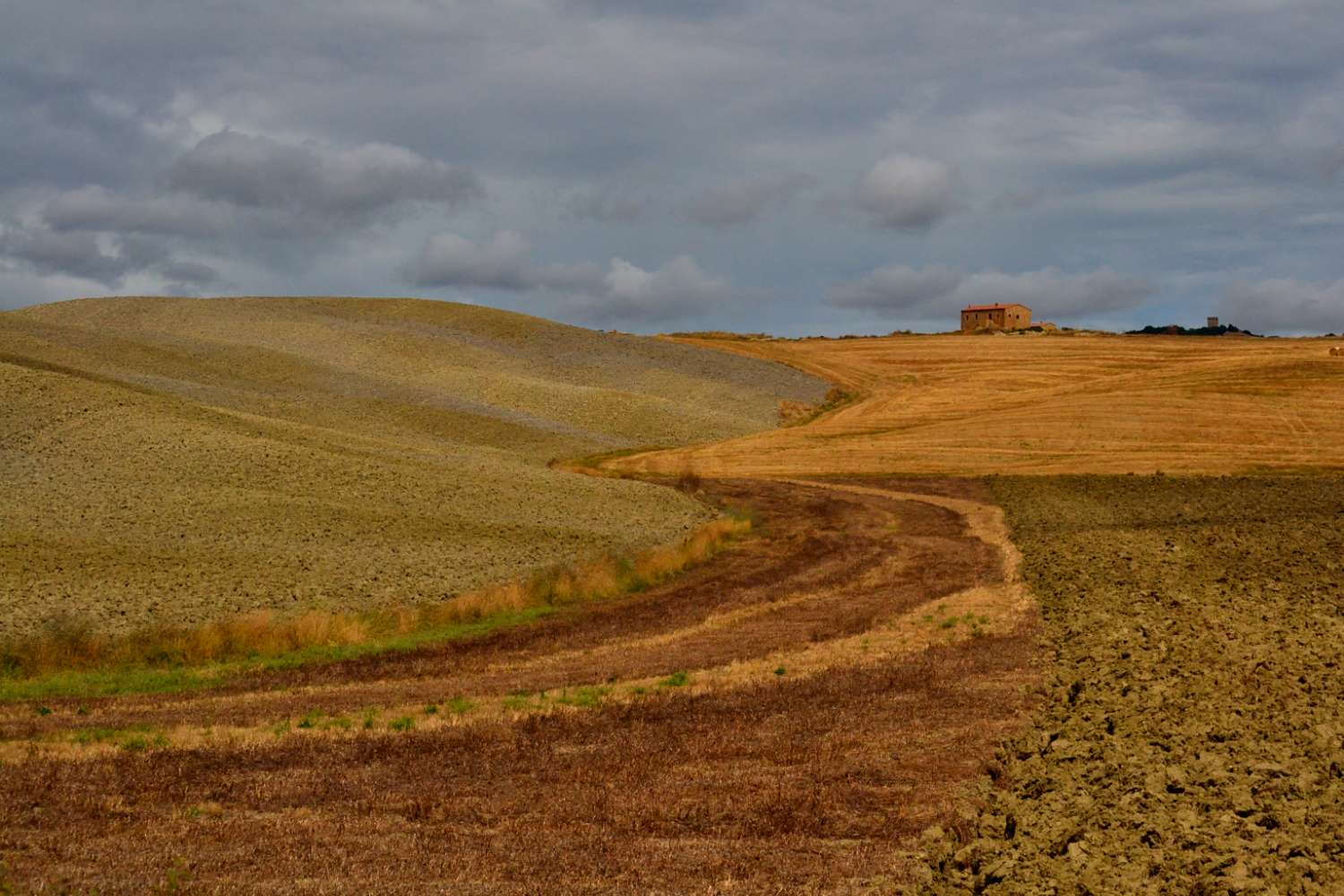 Colline senesi