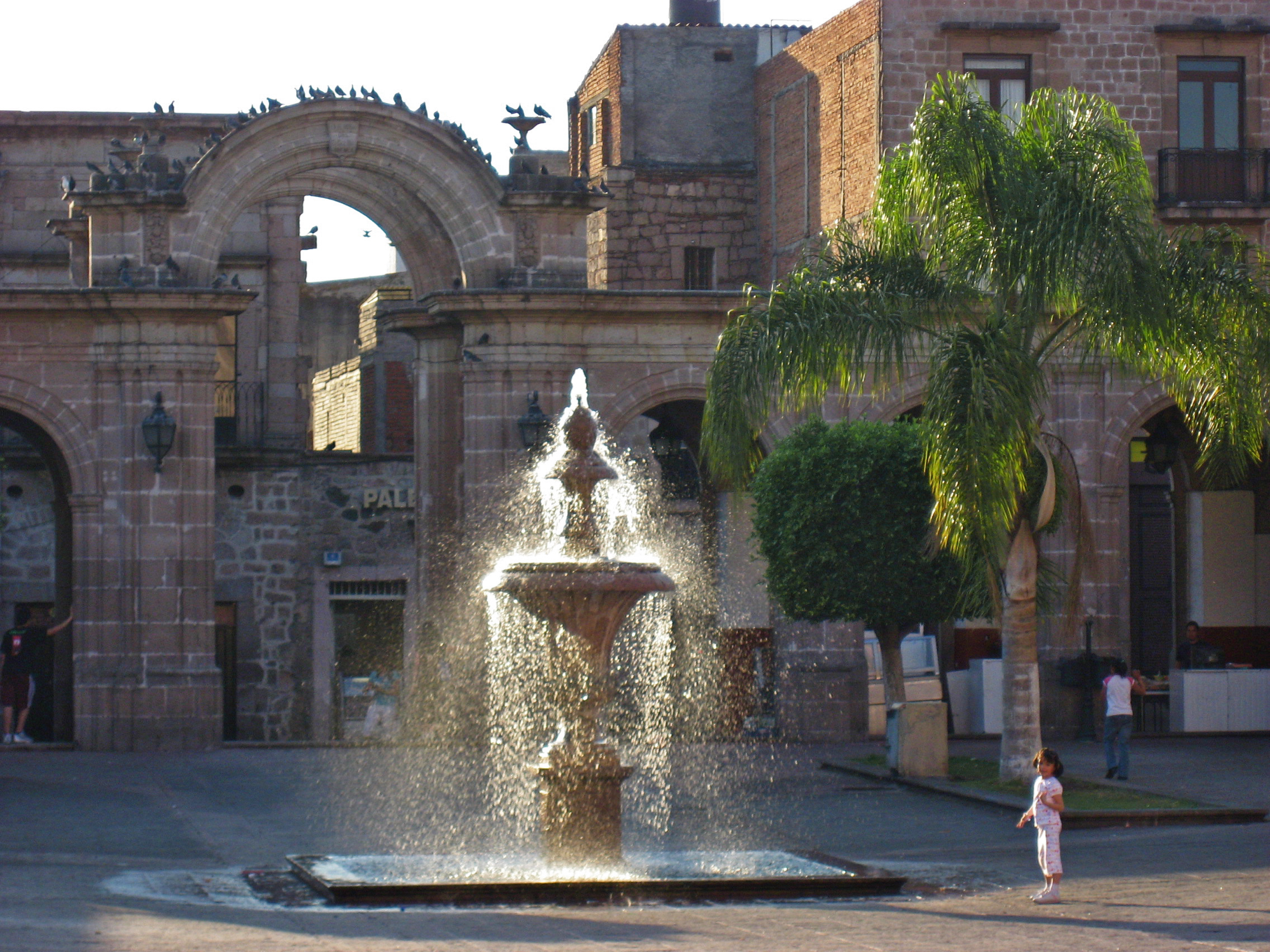 Morelia