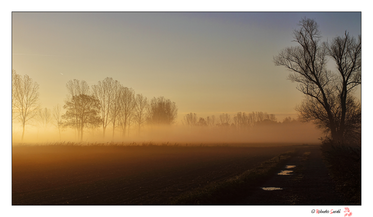 The campaign to 'dawn