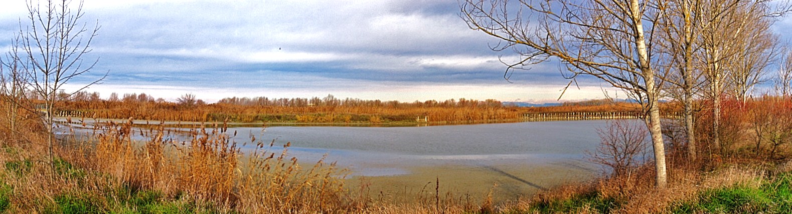 only for the cover ..